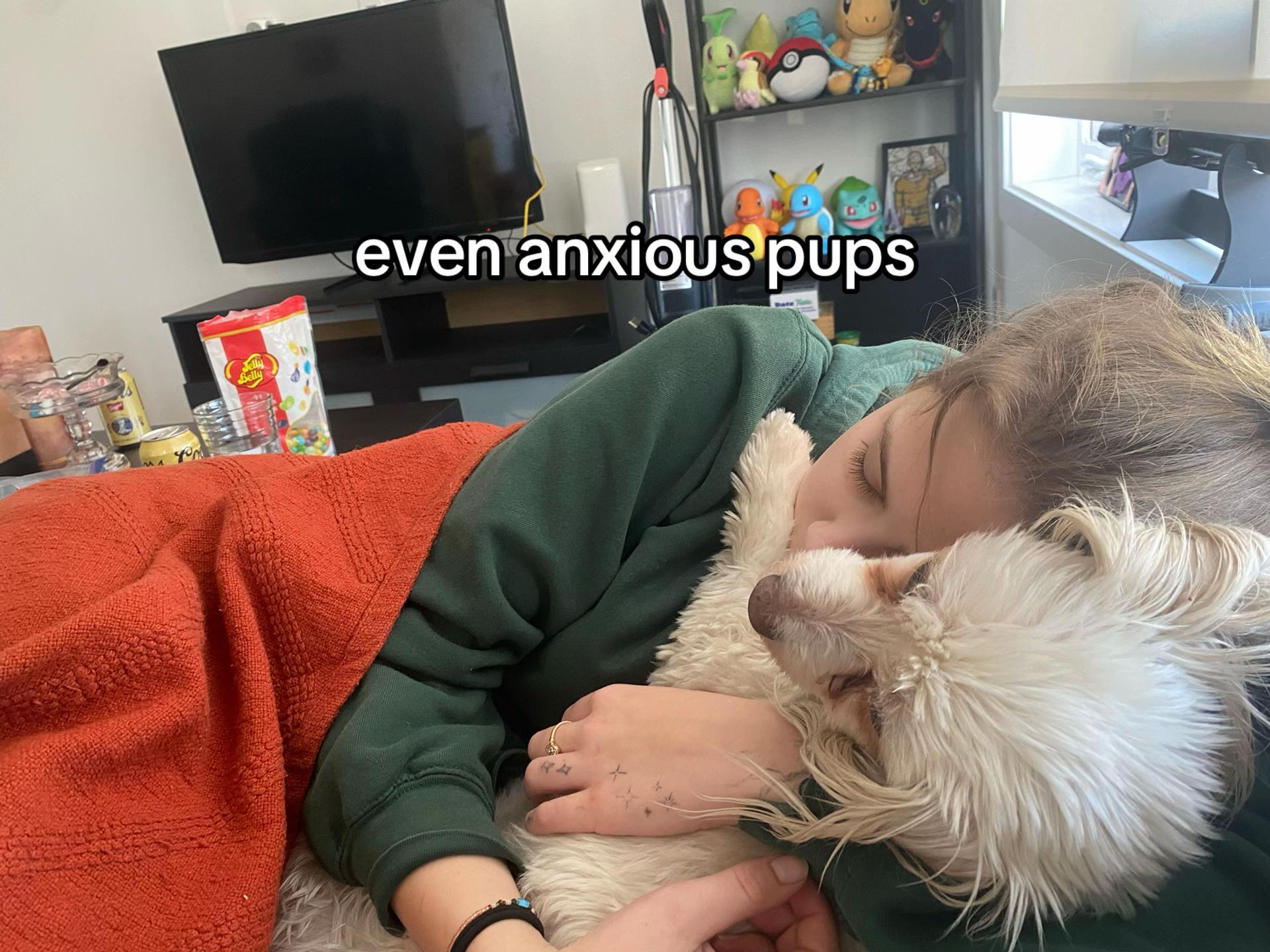@maya