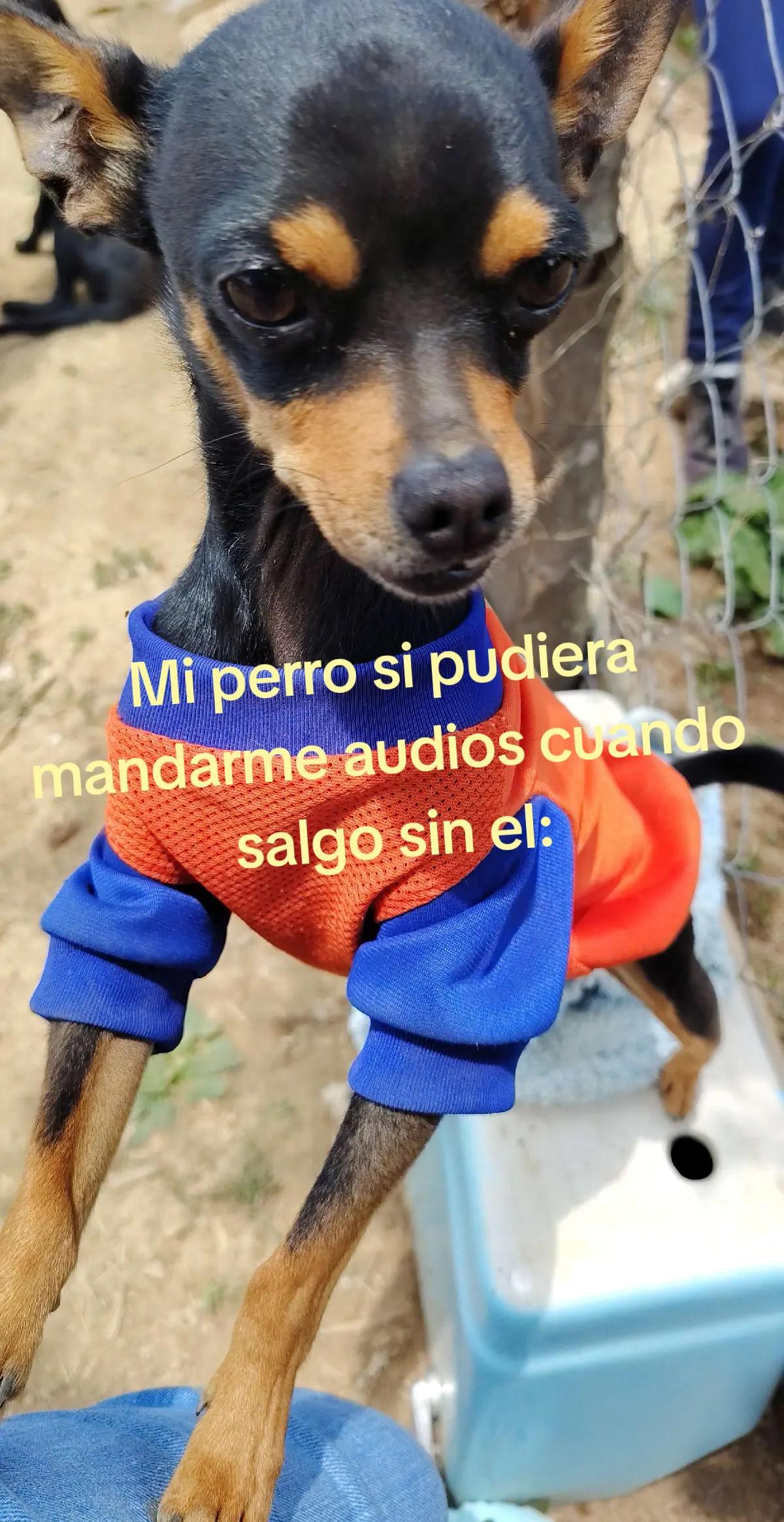 @Anai Ramirez