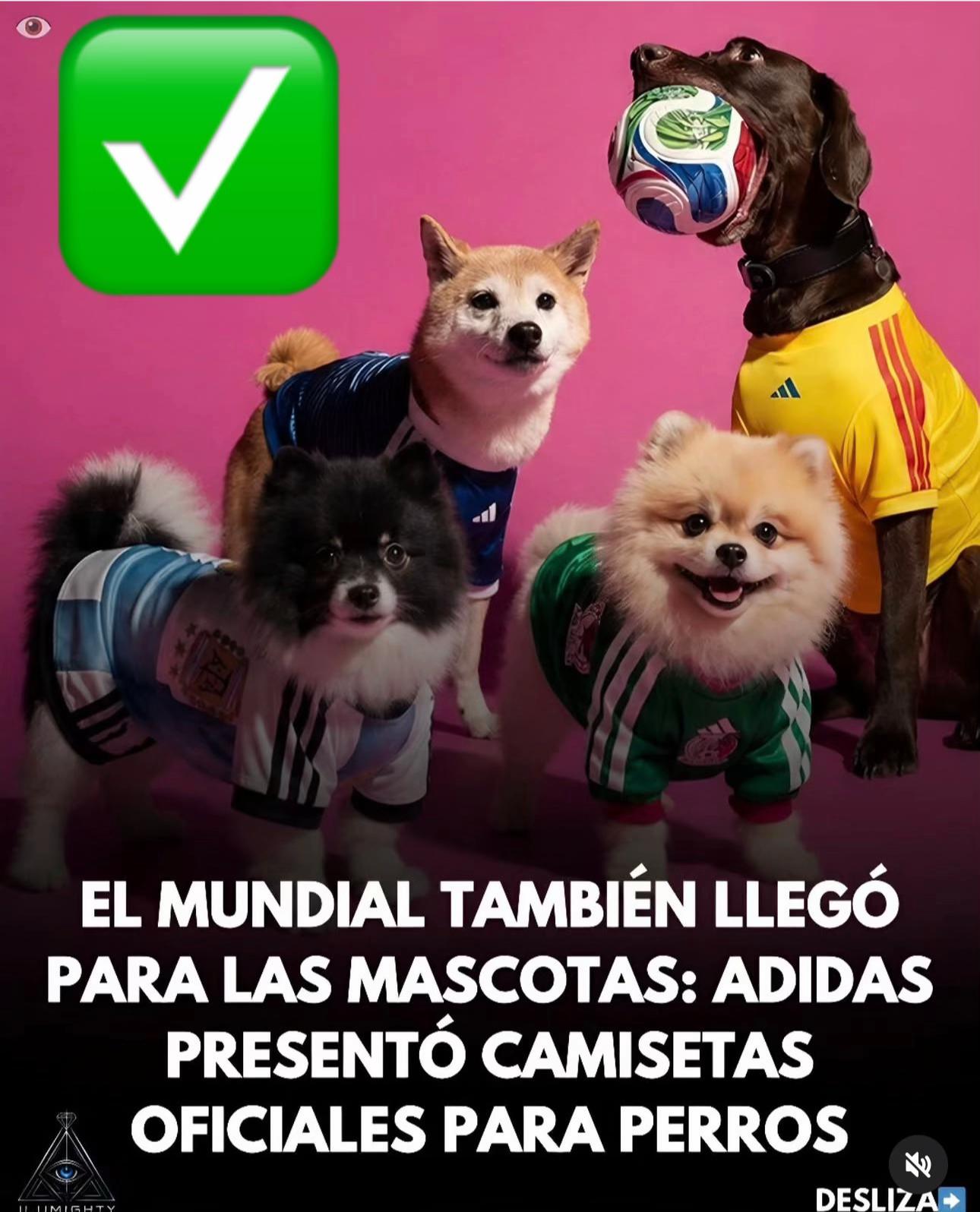 @CHARLI STAR🧧