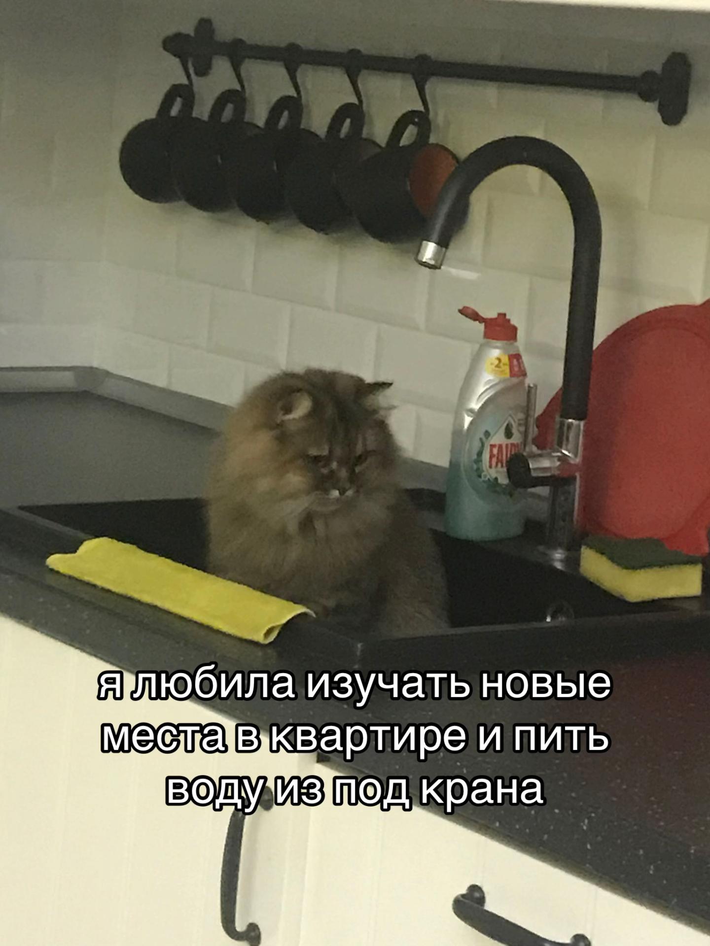 @притон