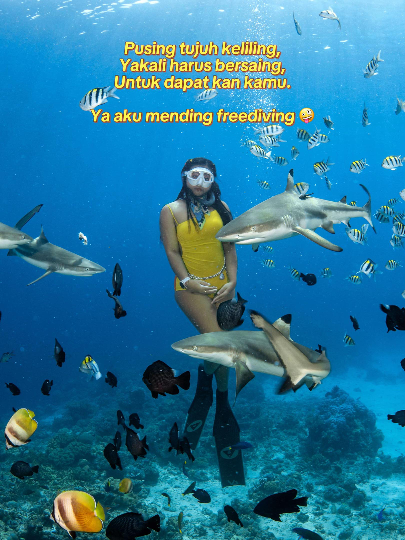 @Yuki | Diving & Traveling
