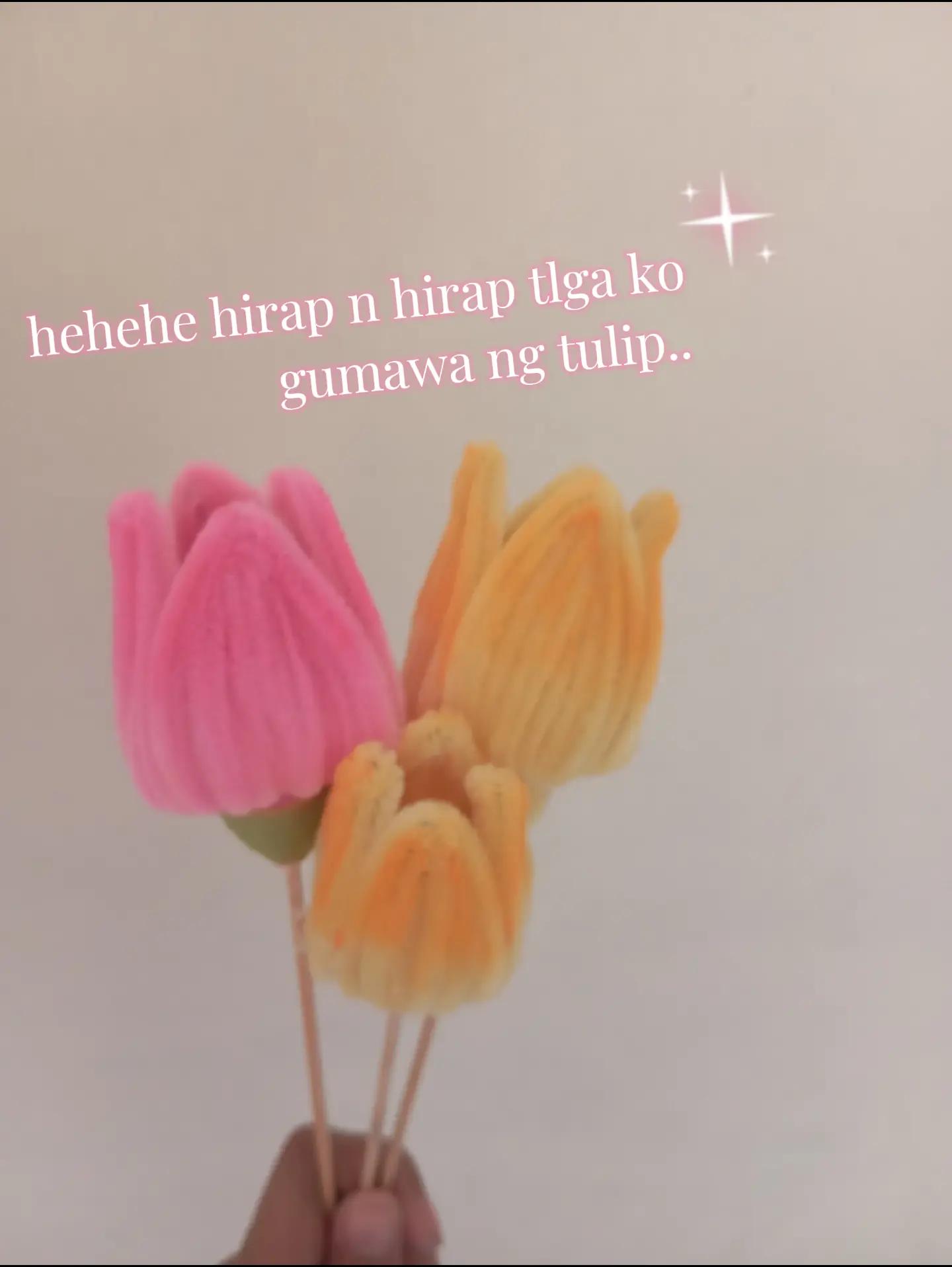 @yhamcalatin26🧿