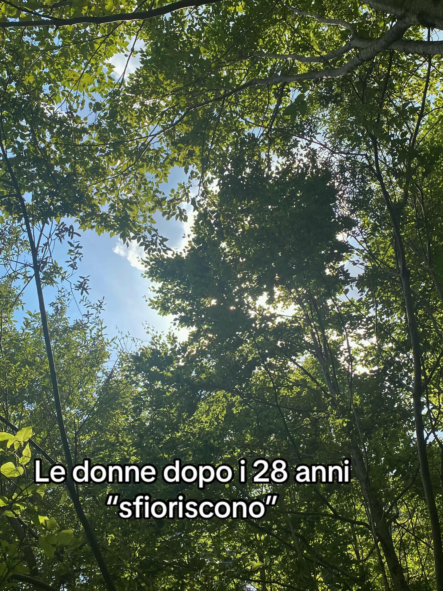 @Elisa~🖤