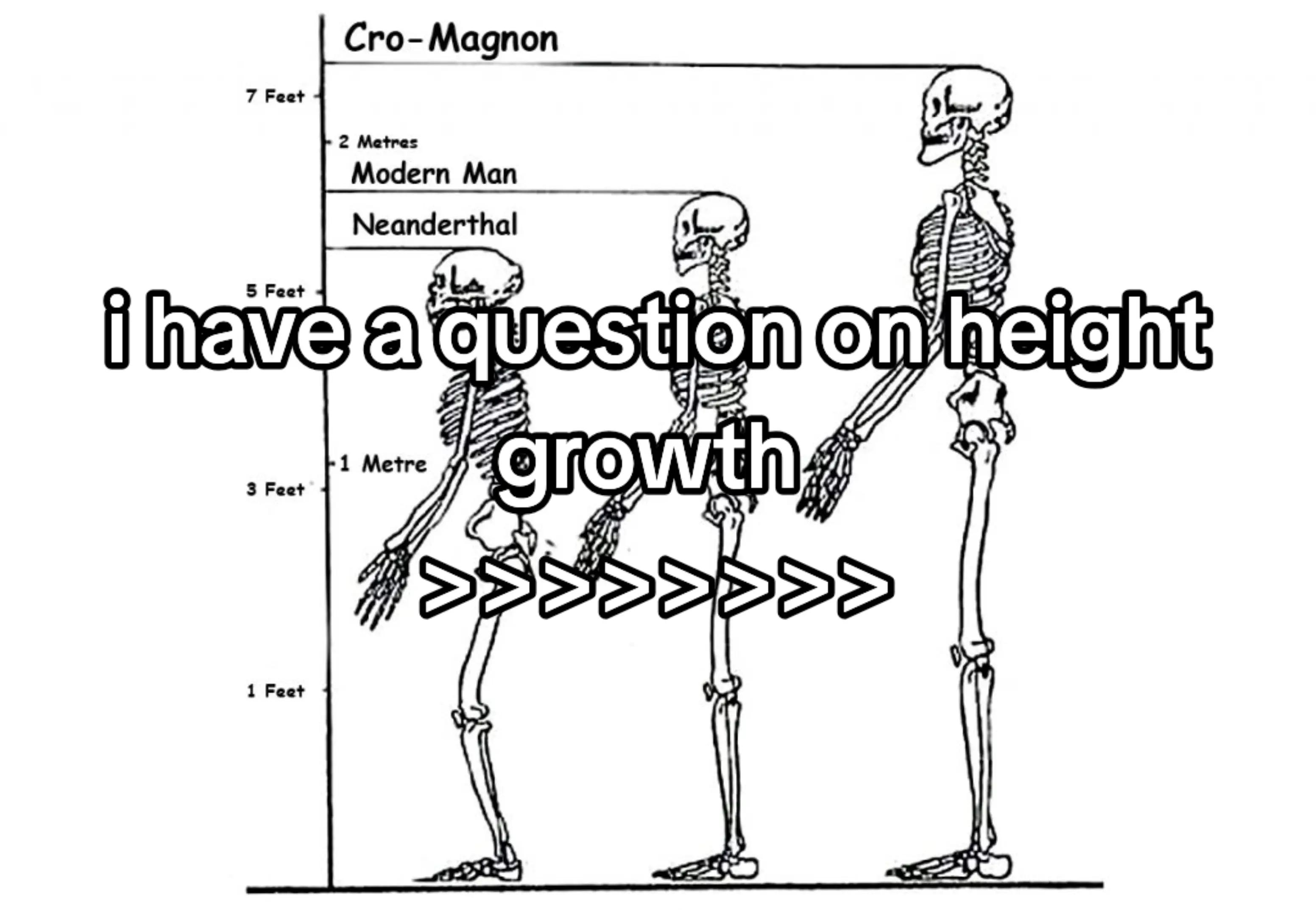 @bipro