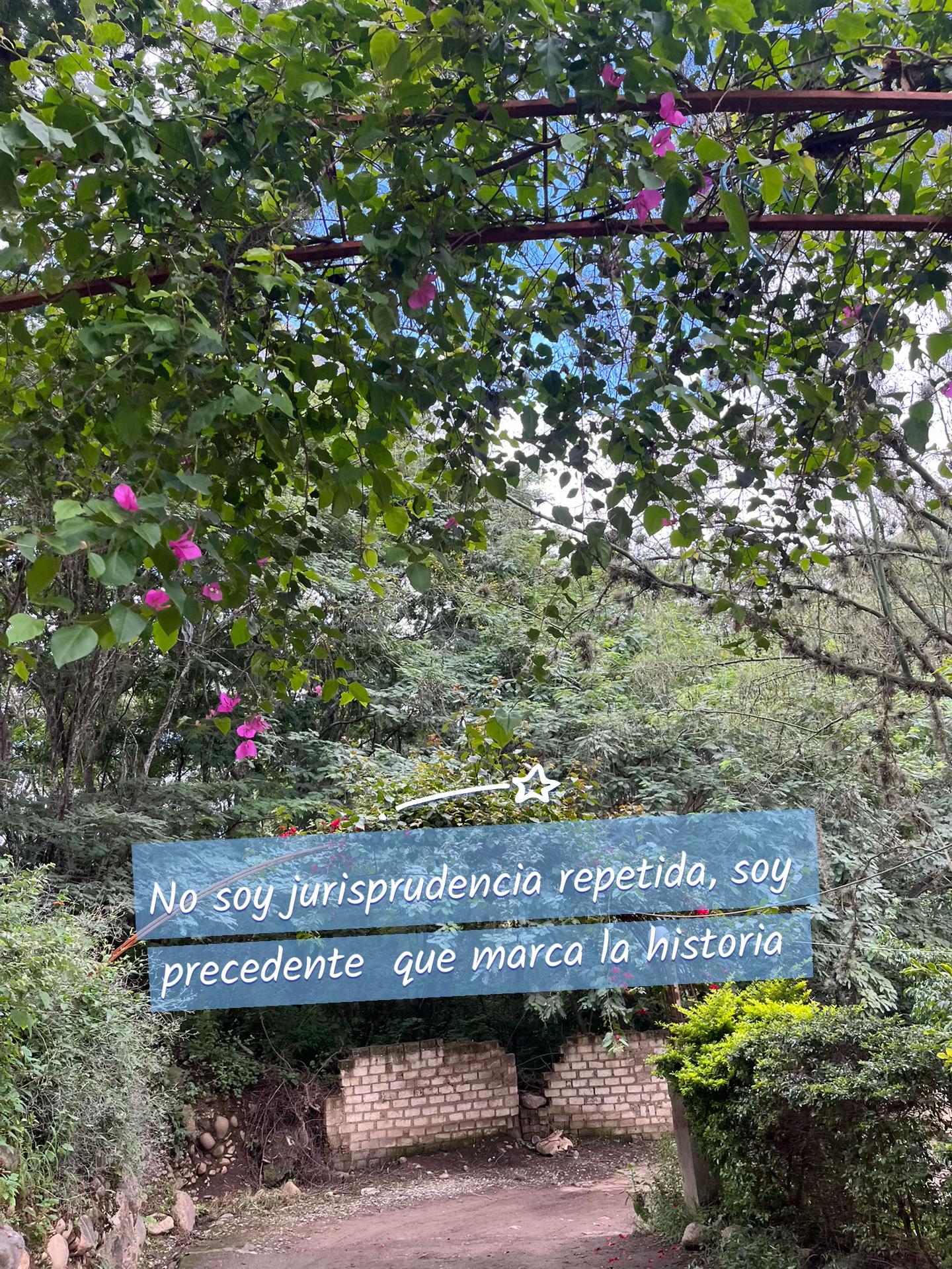@MaguiBP🤫