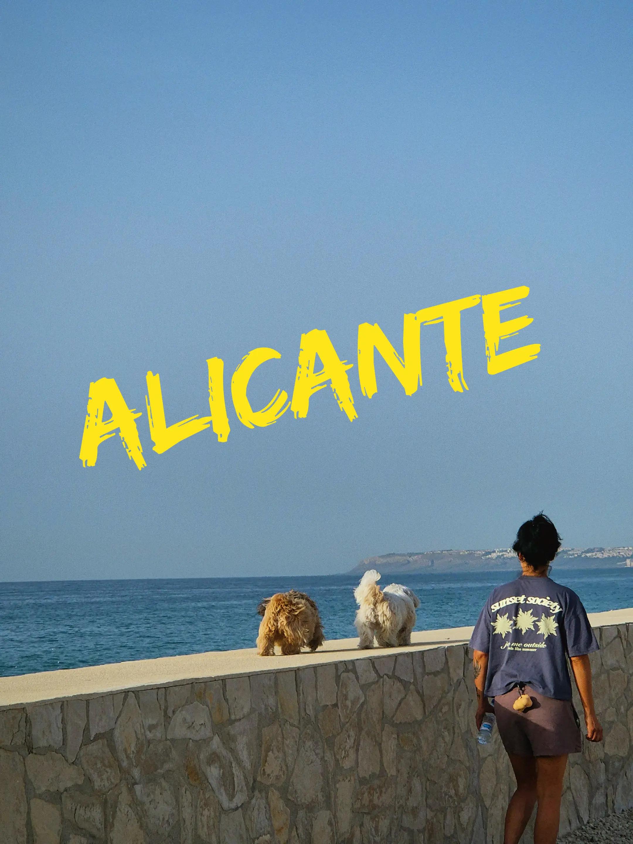 @Alina
