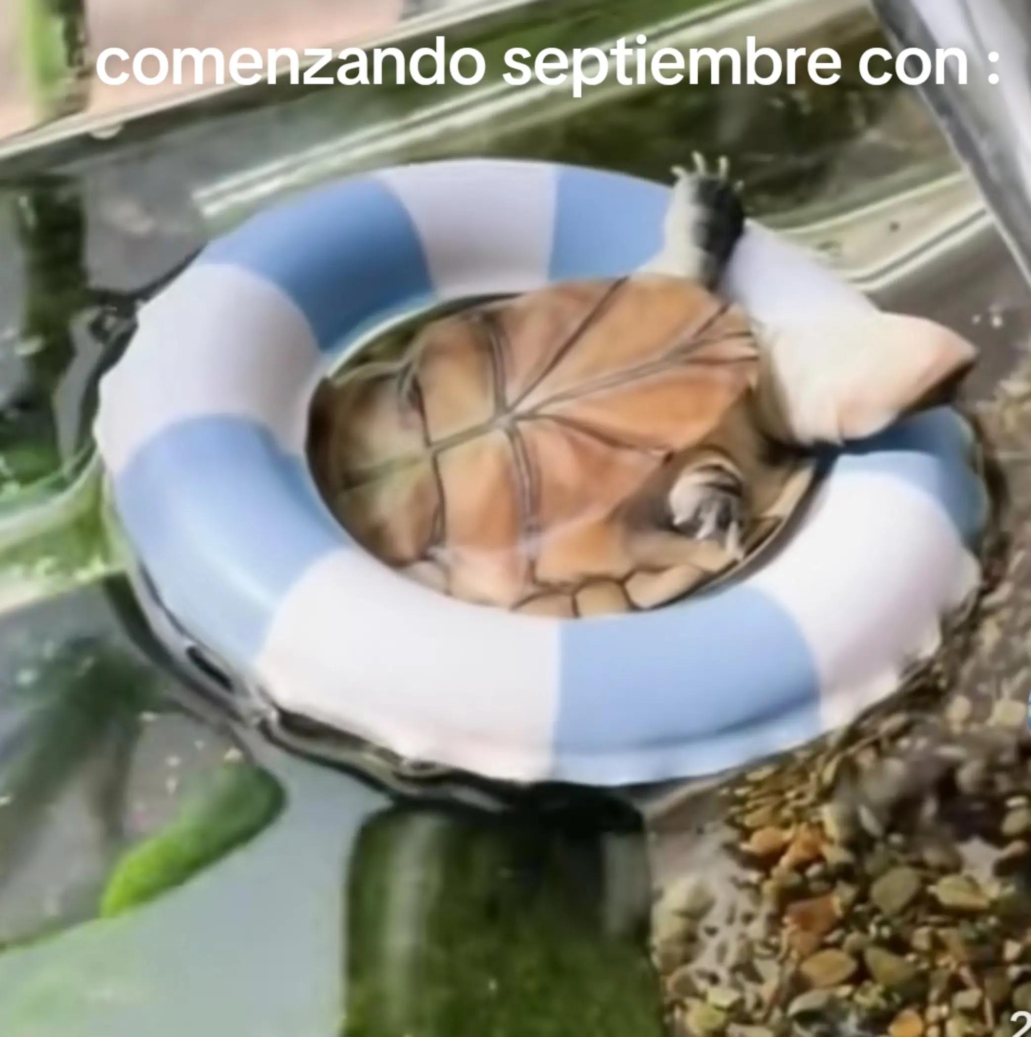 @Harapeco colombia
