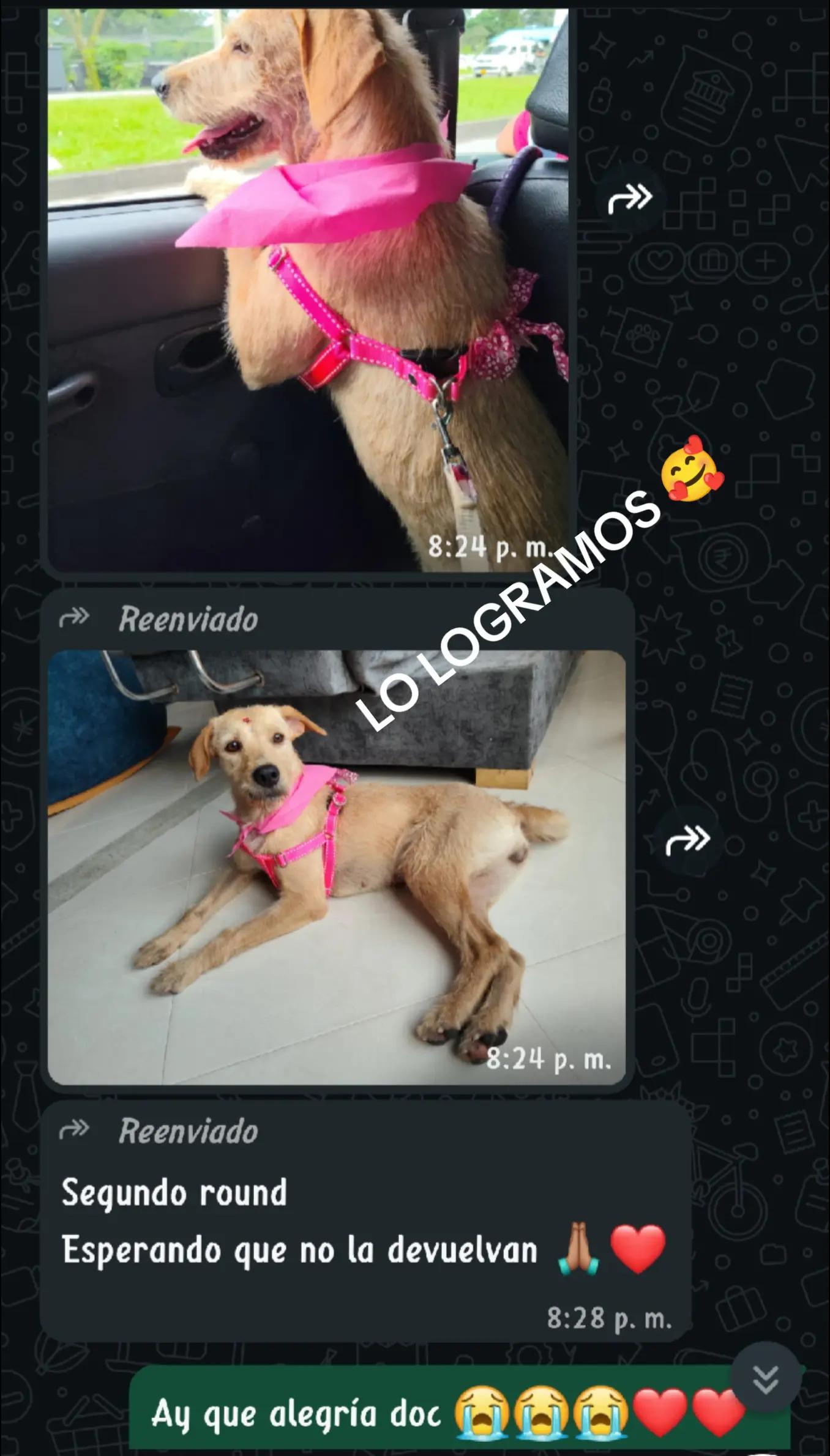 @✨ximenAragon✨