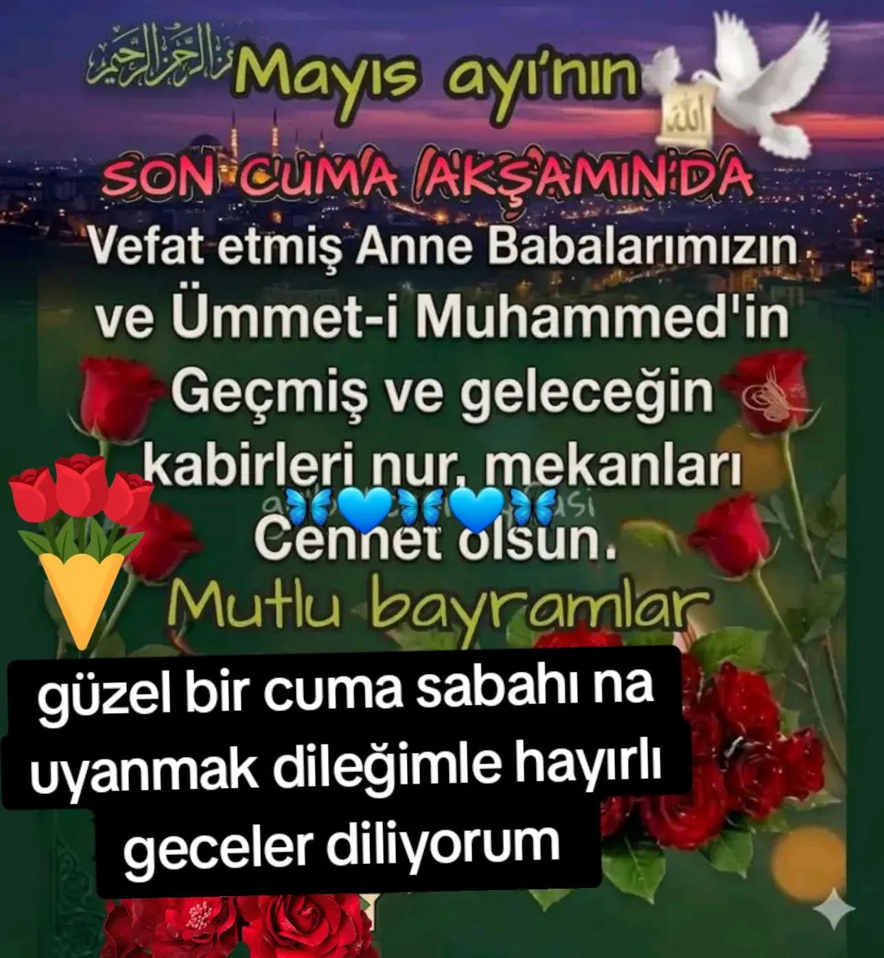 @🇹🇷Yasemin 01 35🇹🇷
