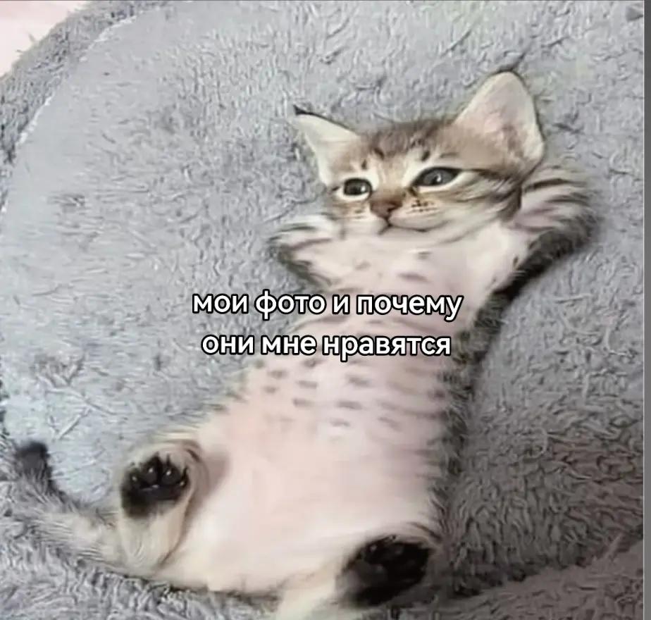 @лирика