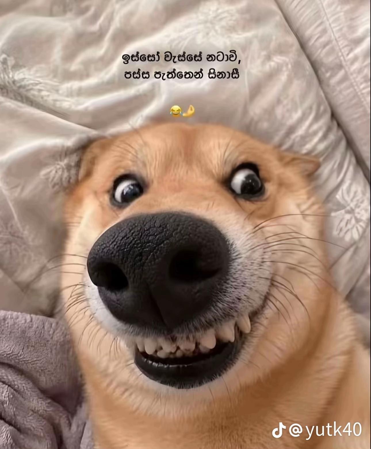 @𝑷𝒊𝒏𝒌𝒚 𝑩𝒃𝒚 💗💐||°