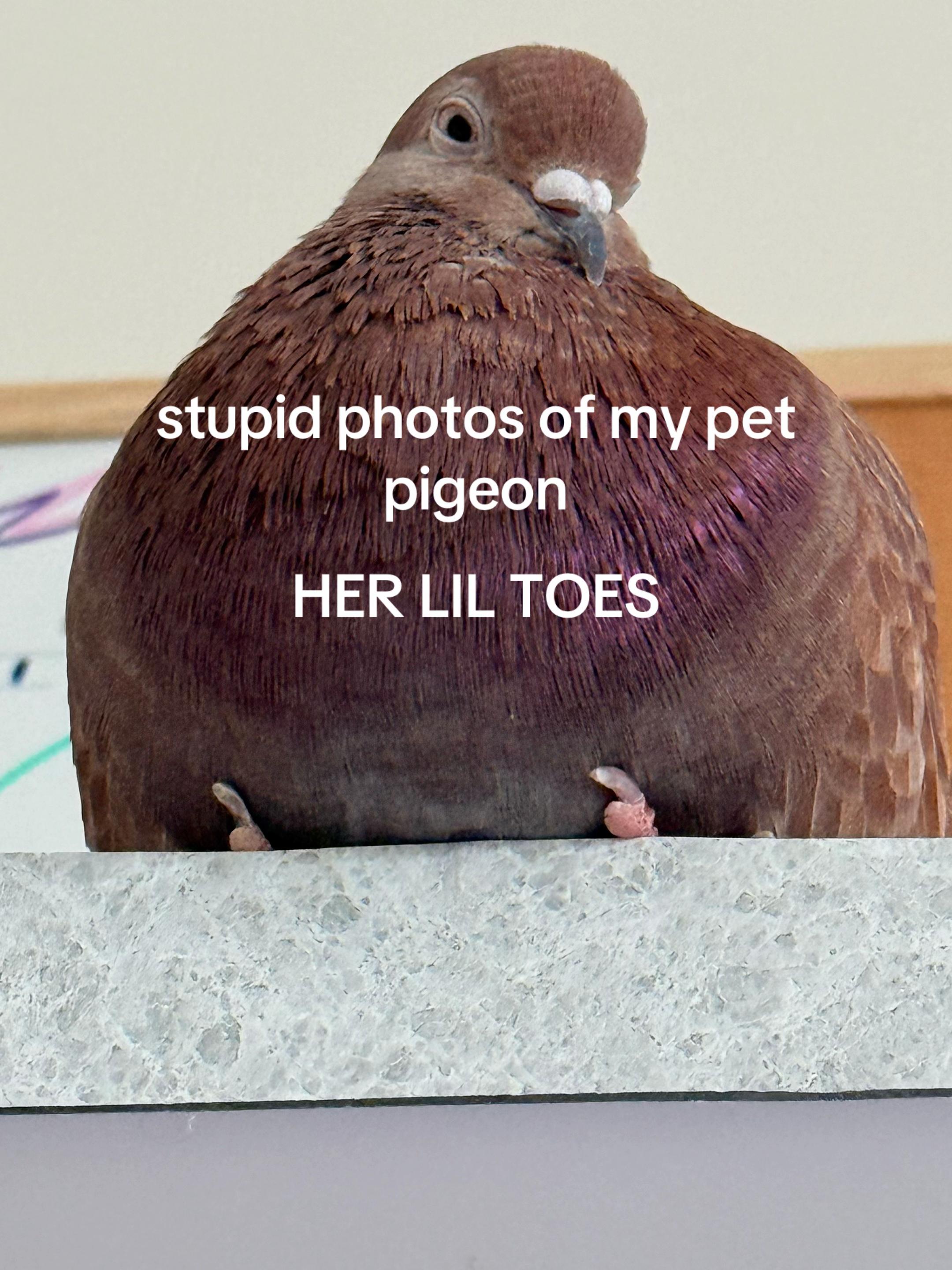 @hugeglorp