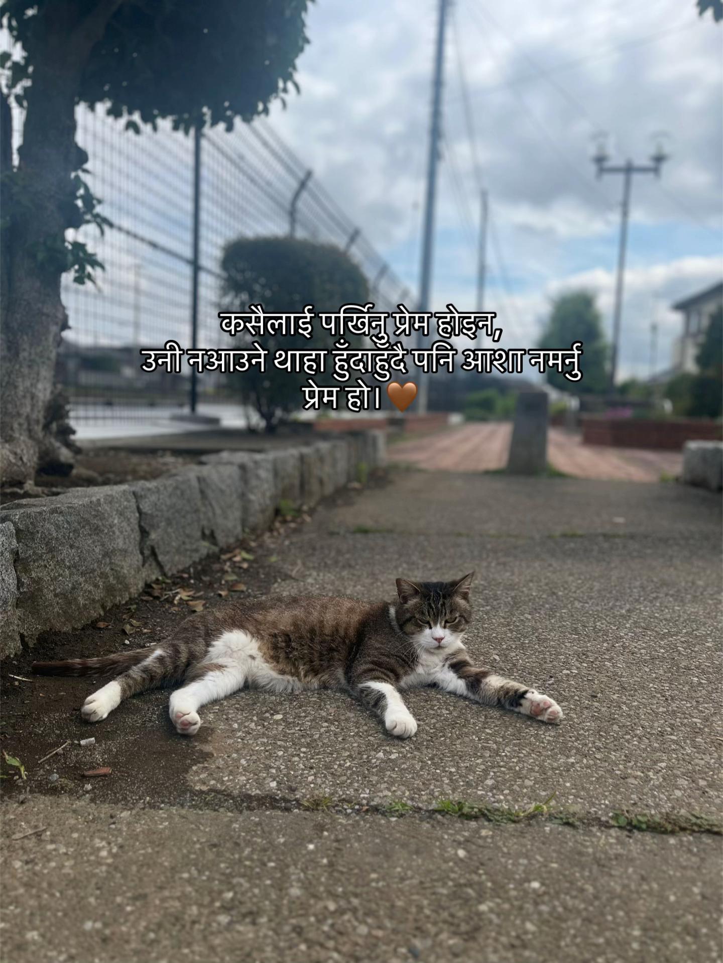@️T