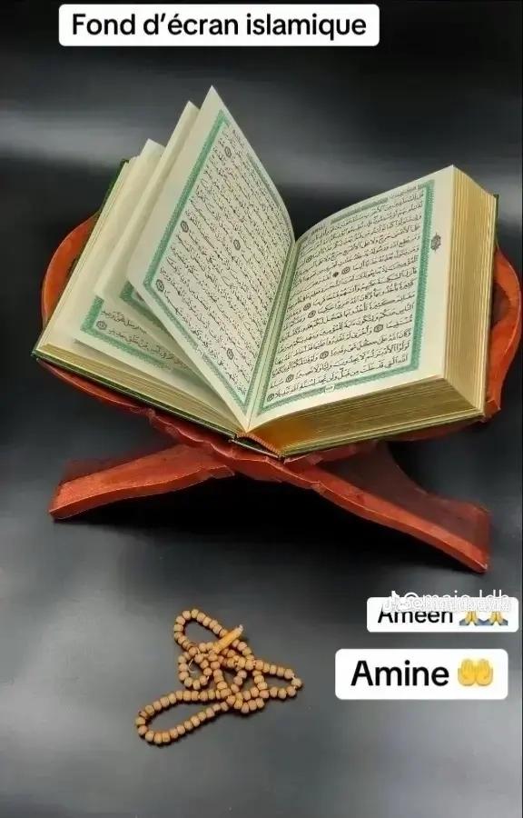 @mounboy71
