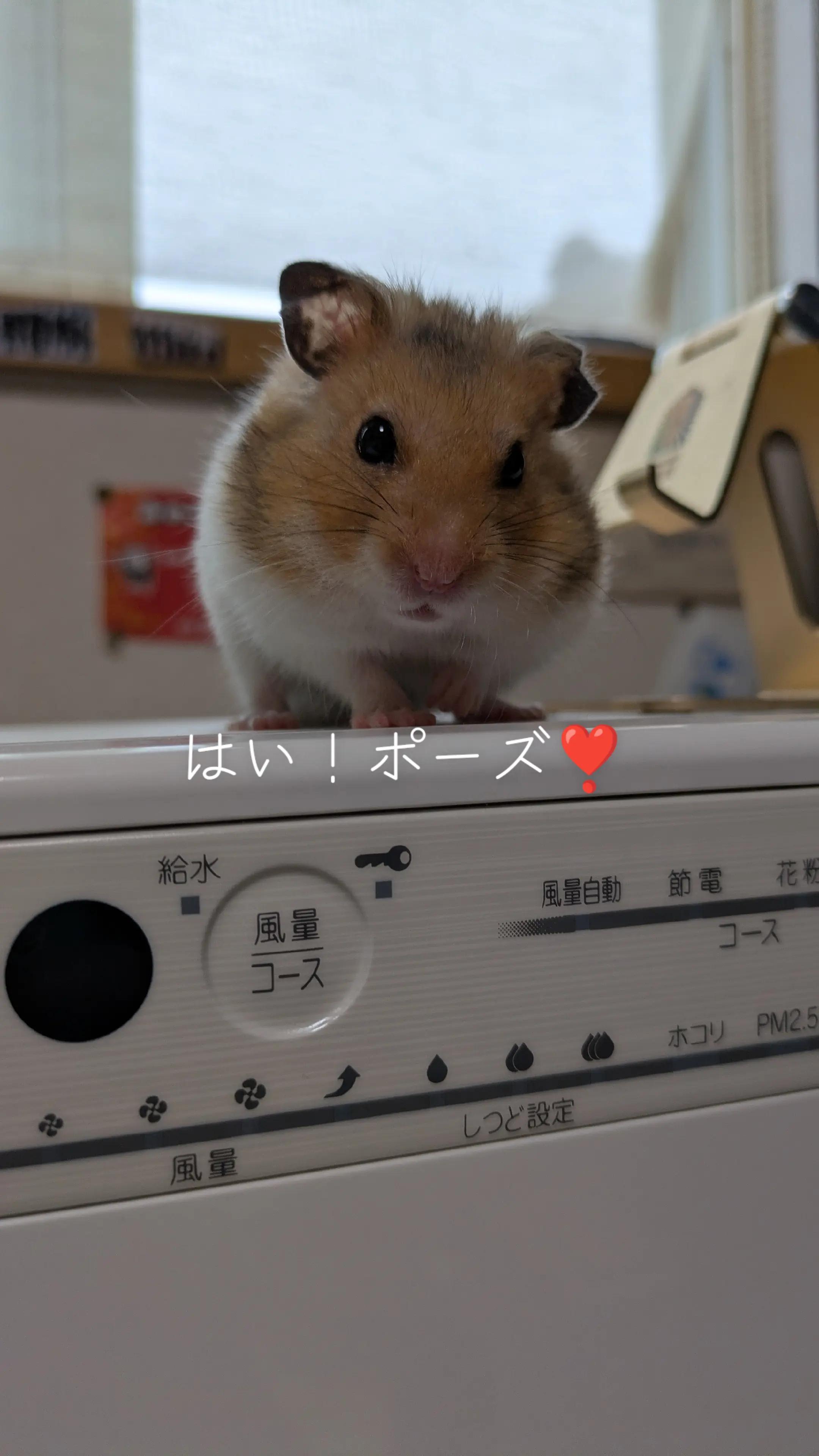 @๐นใใใก๐น