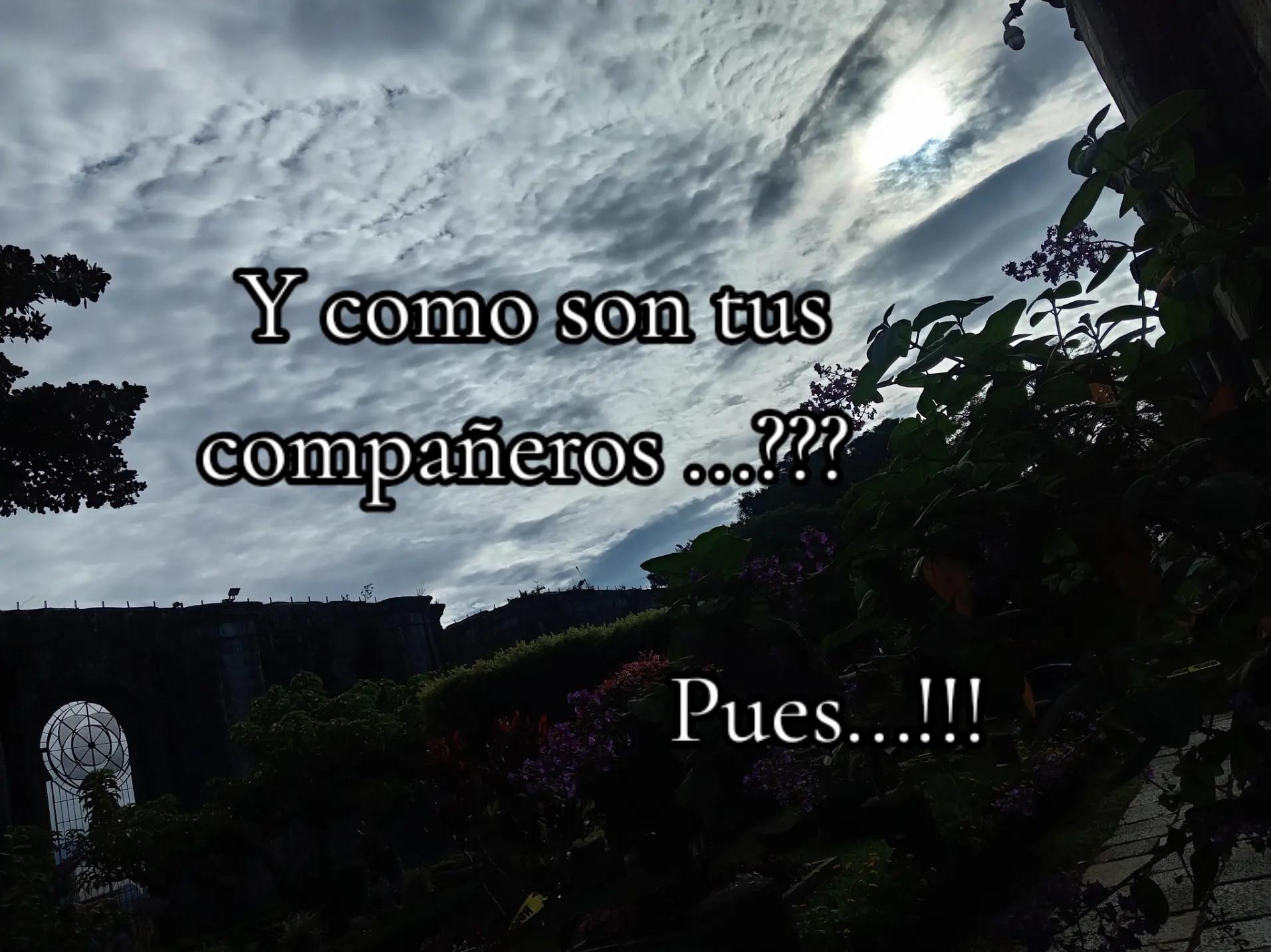 @💖 🦢, " * Gavi * ",🦢💖