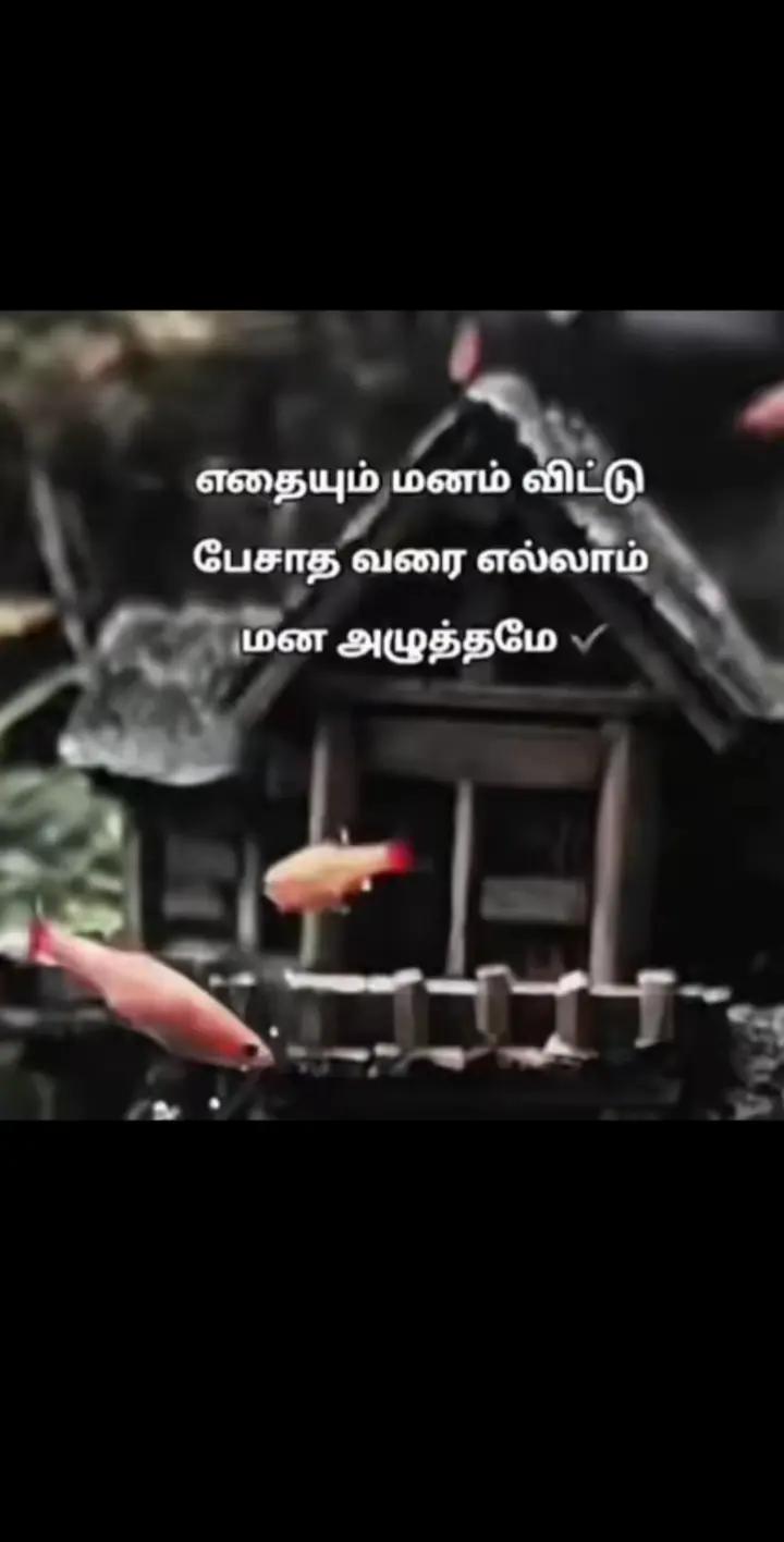 @rose♥️