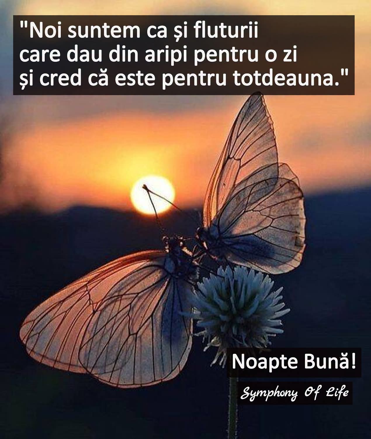 @Cristian-Cristian