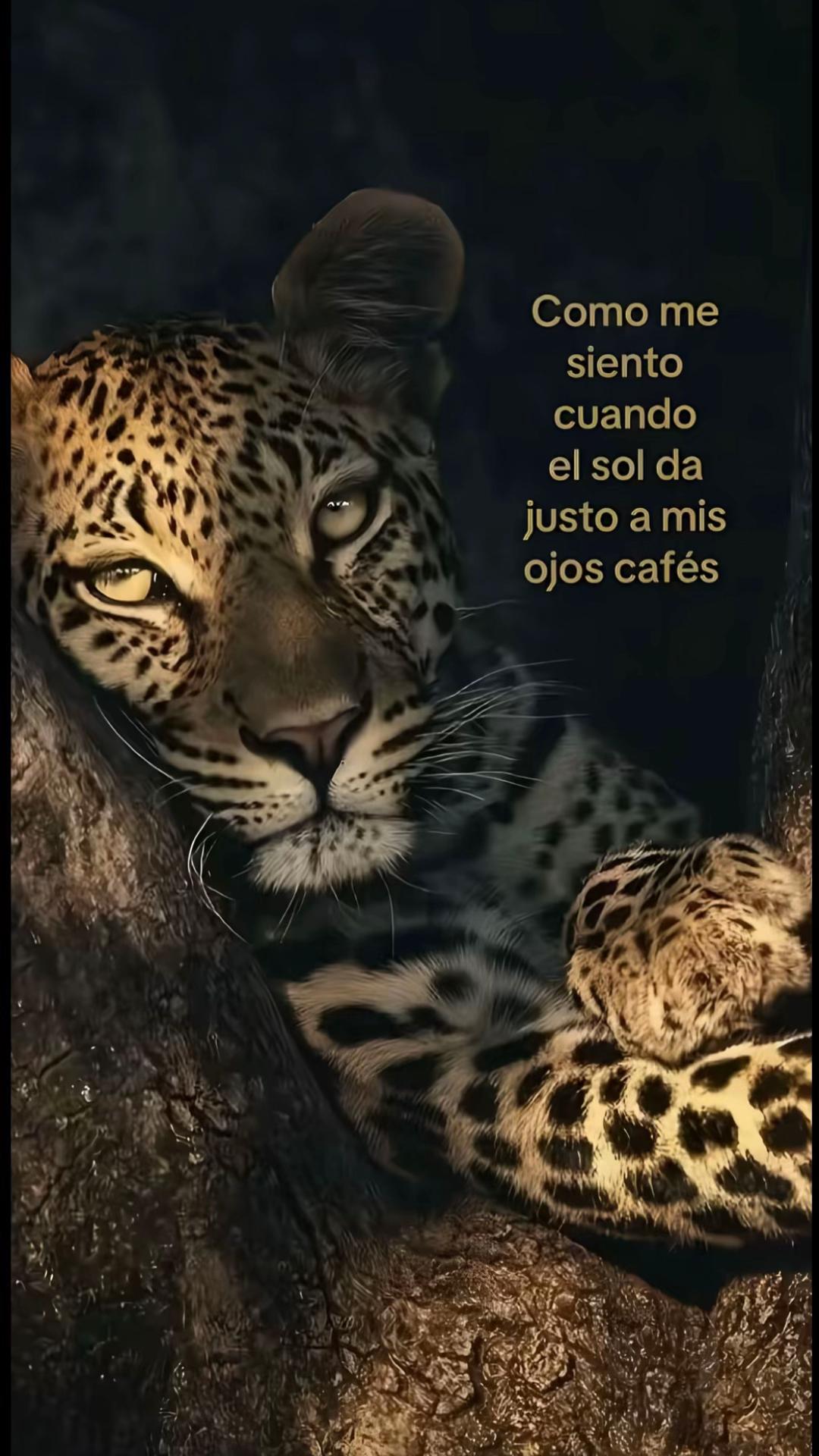 @𝓂𝒶𝓁𝑒𝓃𝒶