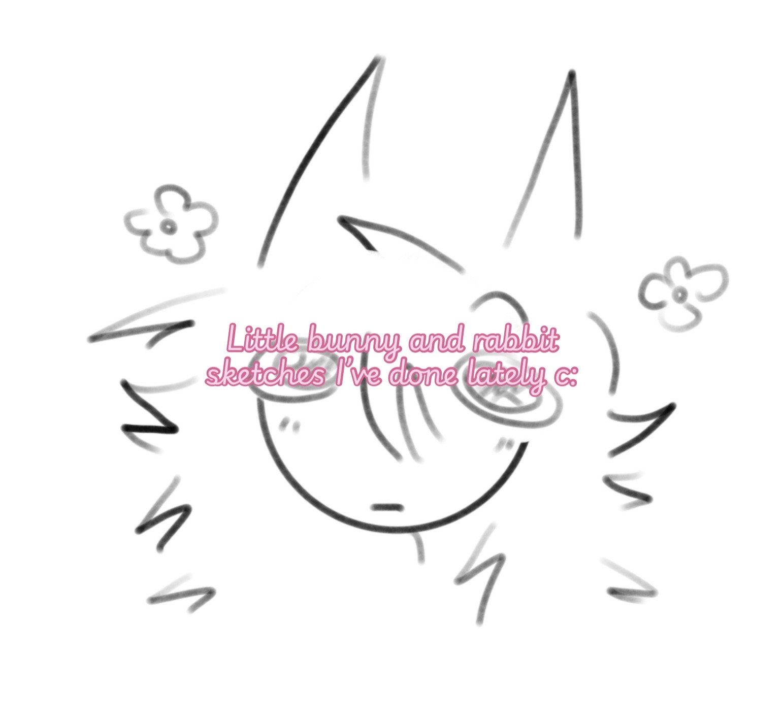 @Bunny