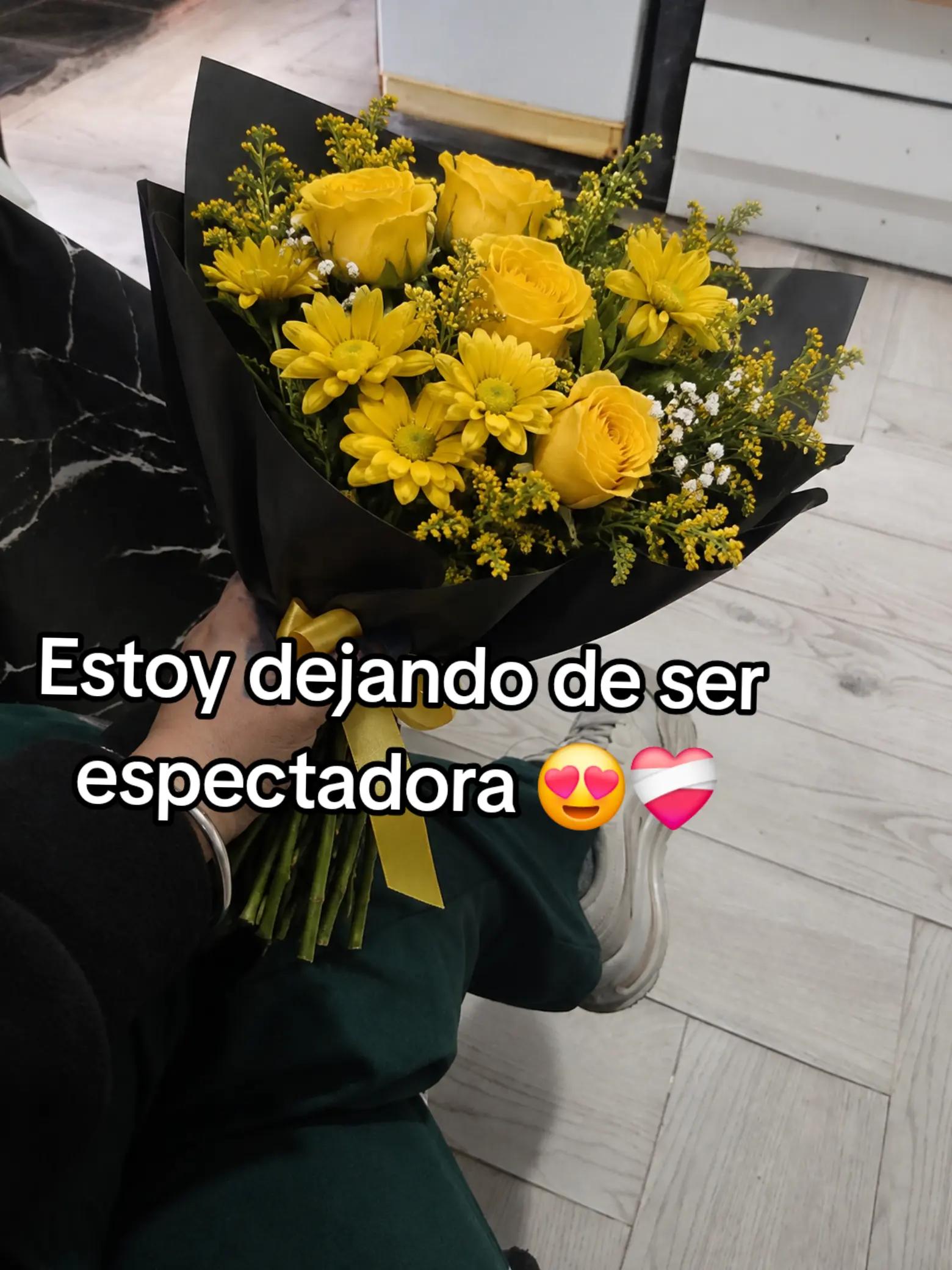@noee✨