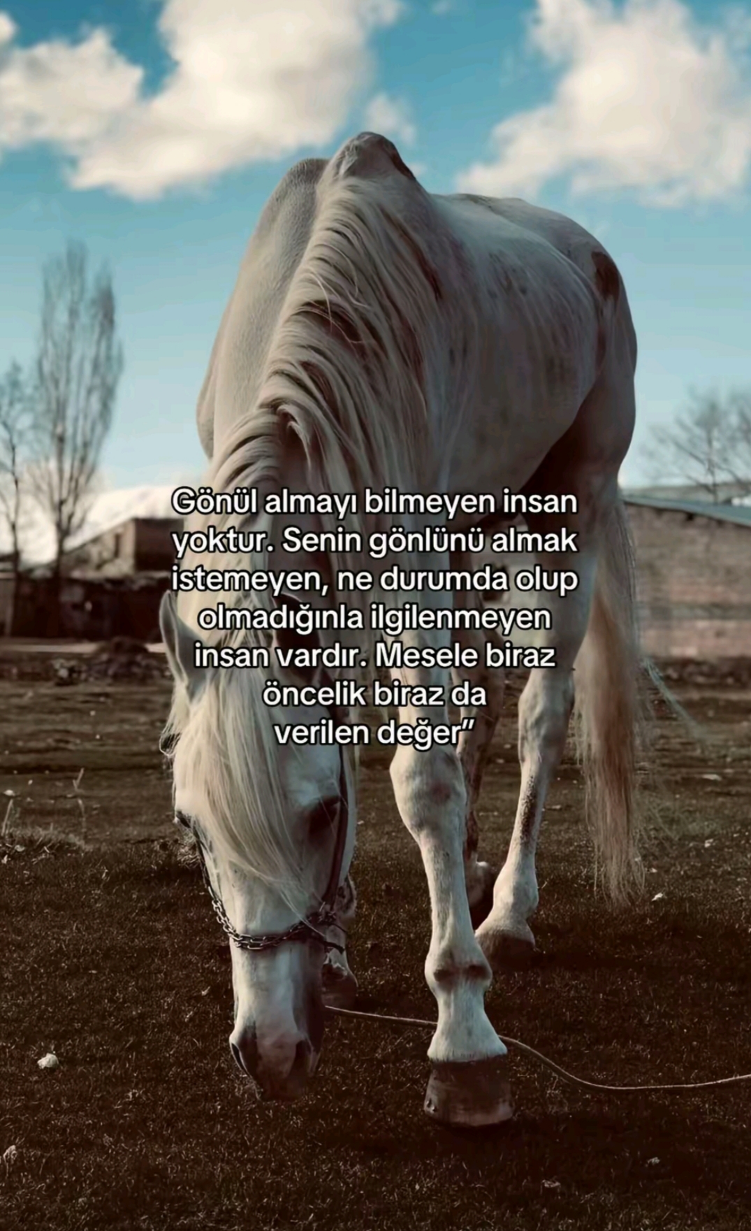 @Nevin Kuytak