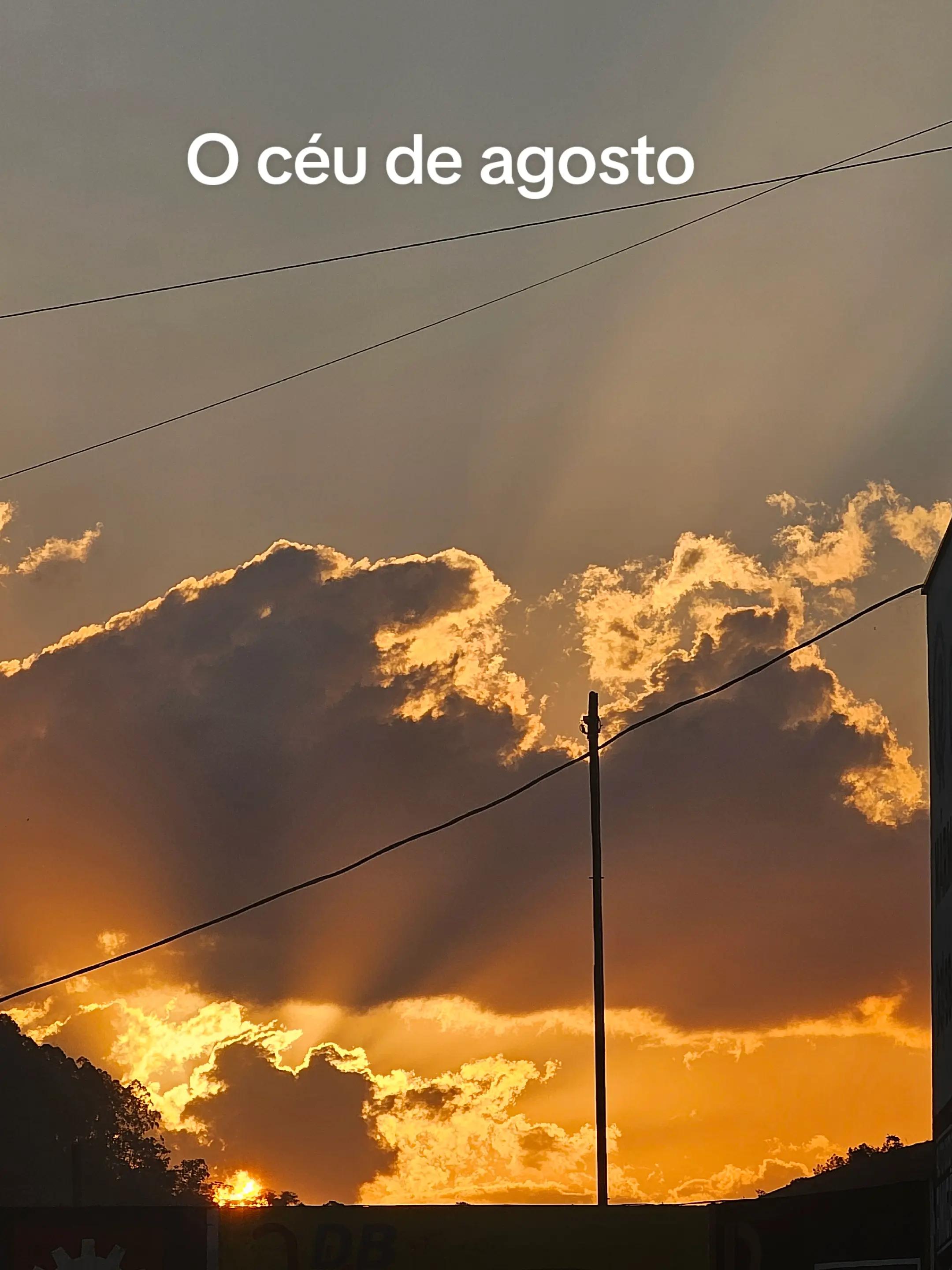 @Flávia Freitas
