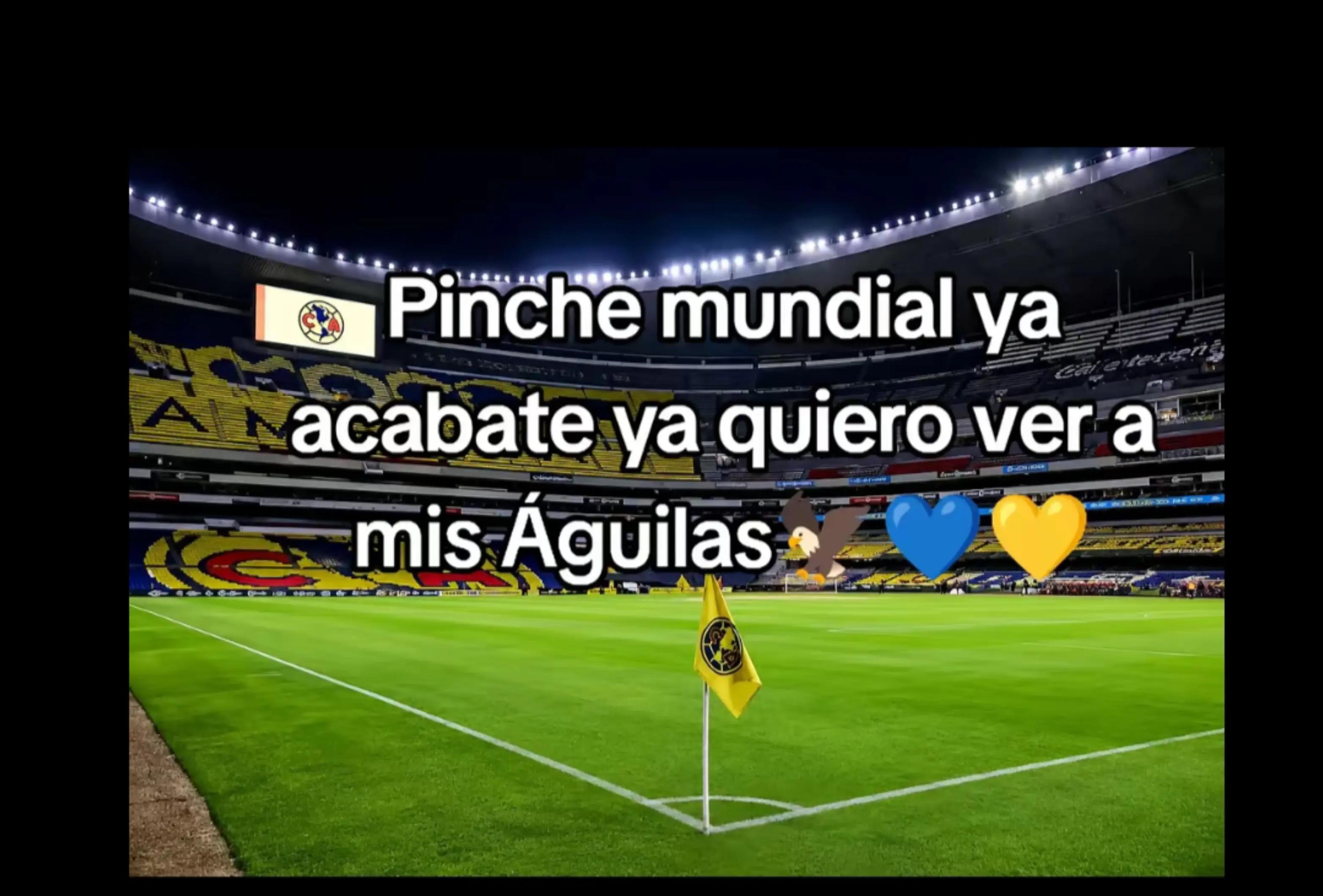 @Bellaca ❤️