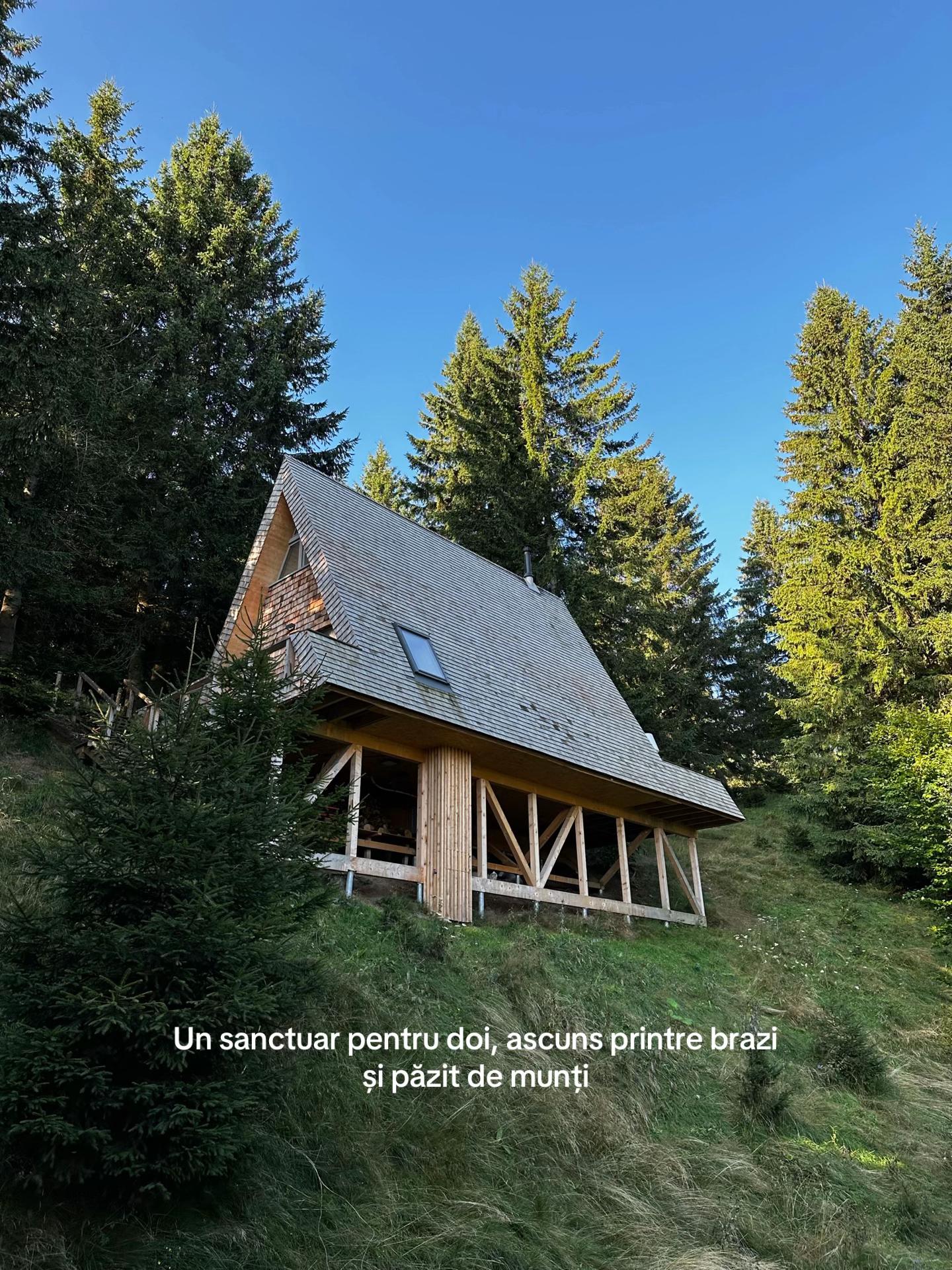 @Strajerii Verzi