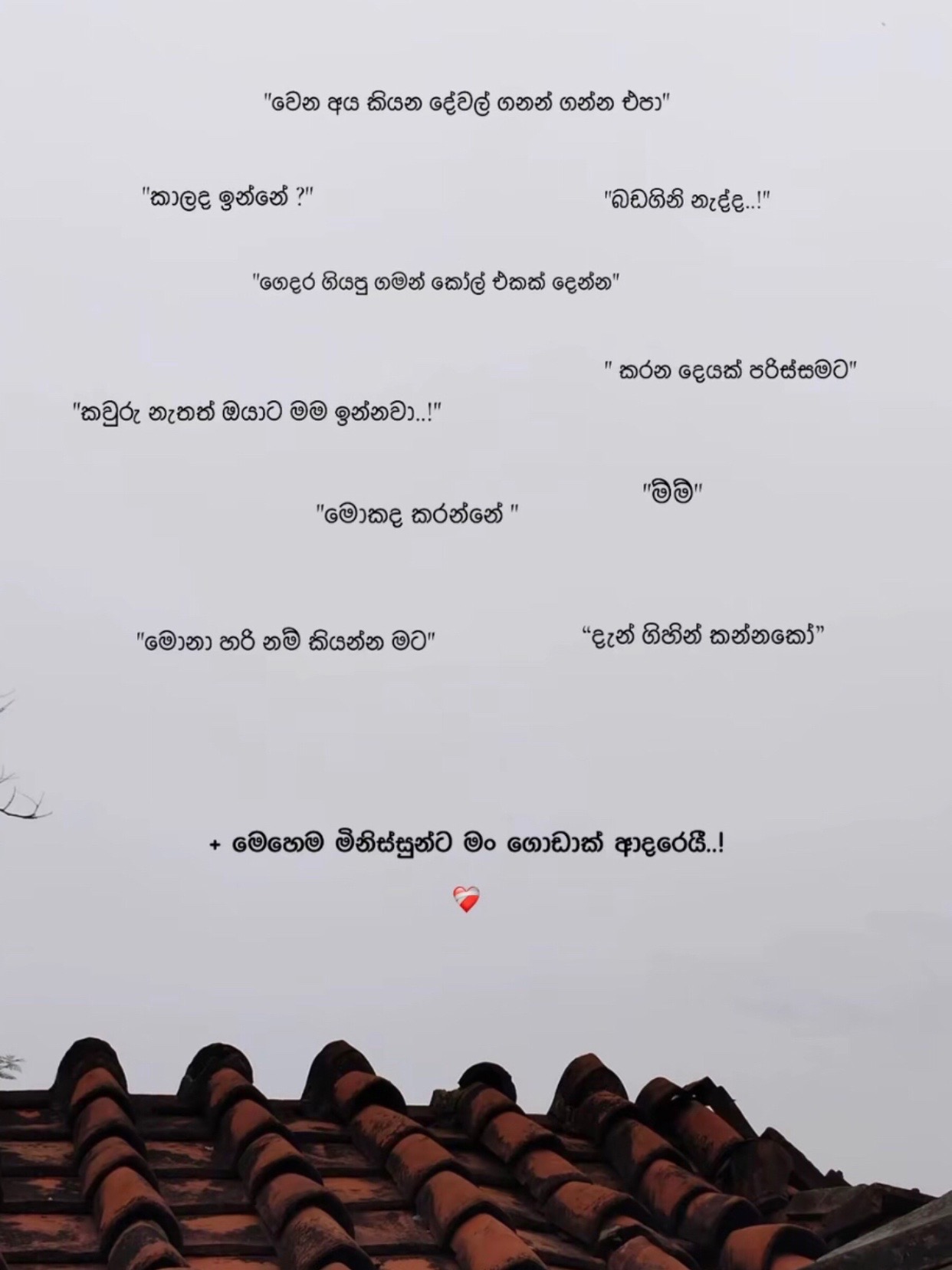 @ශානි | SHANI | ஷானீ_👀💗🌎"