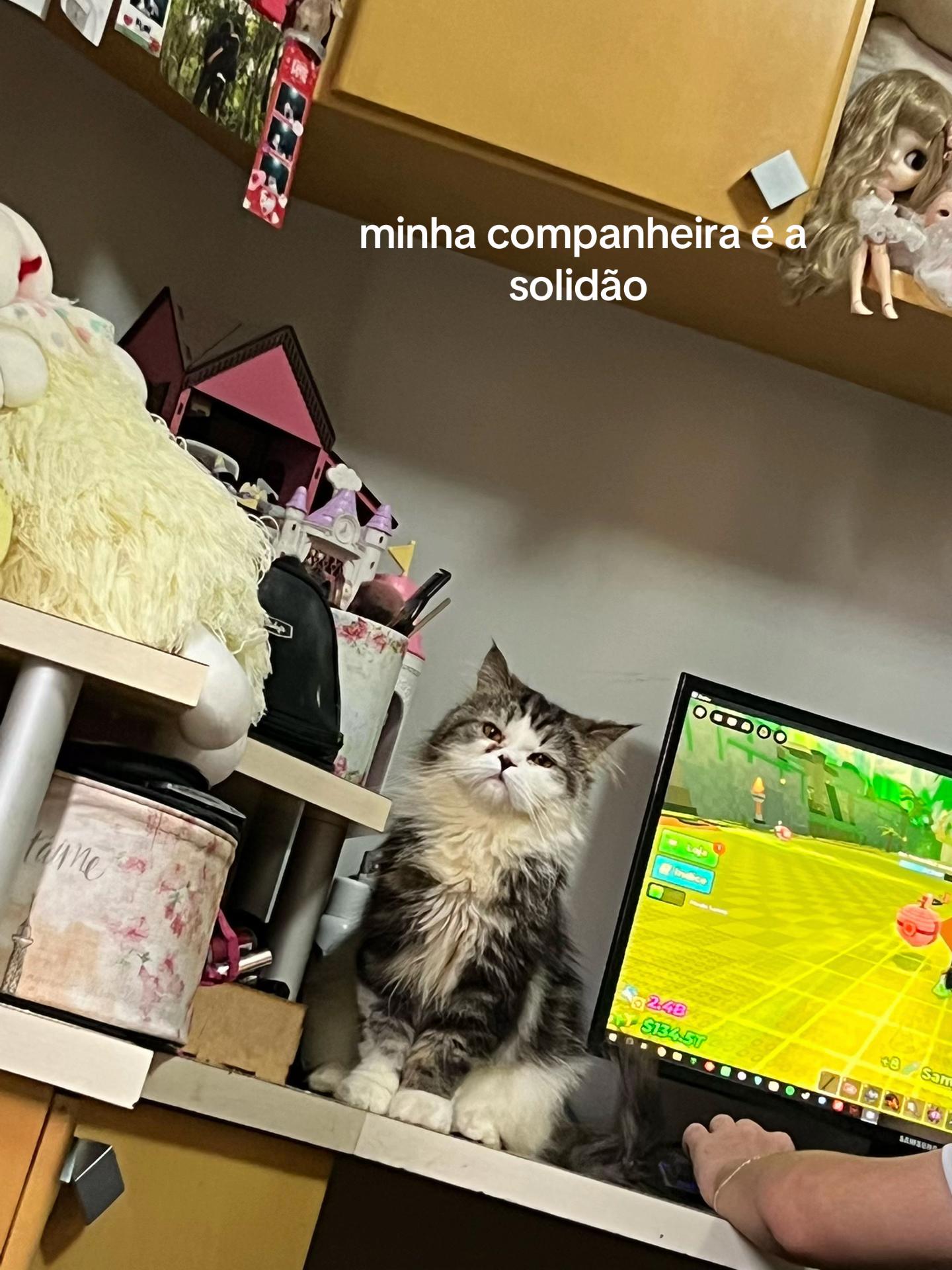 @anne ⛧