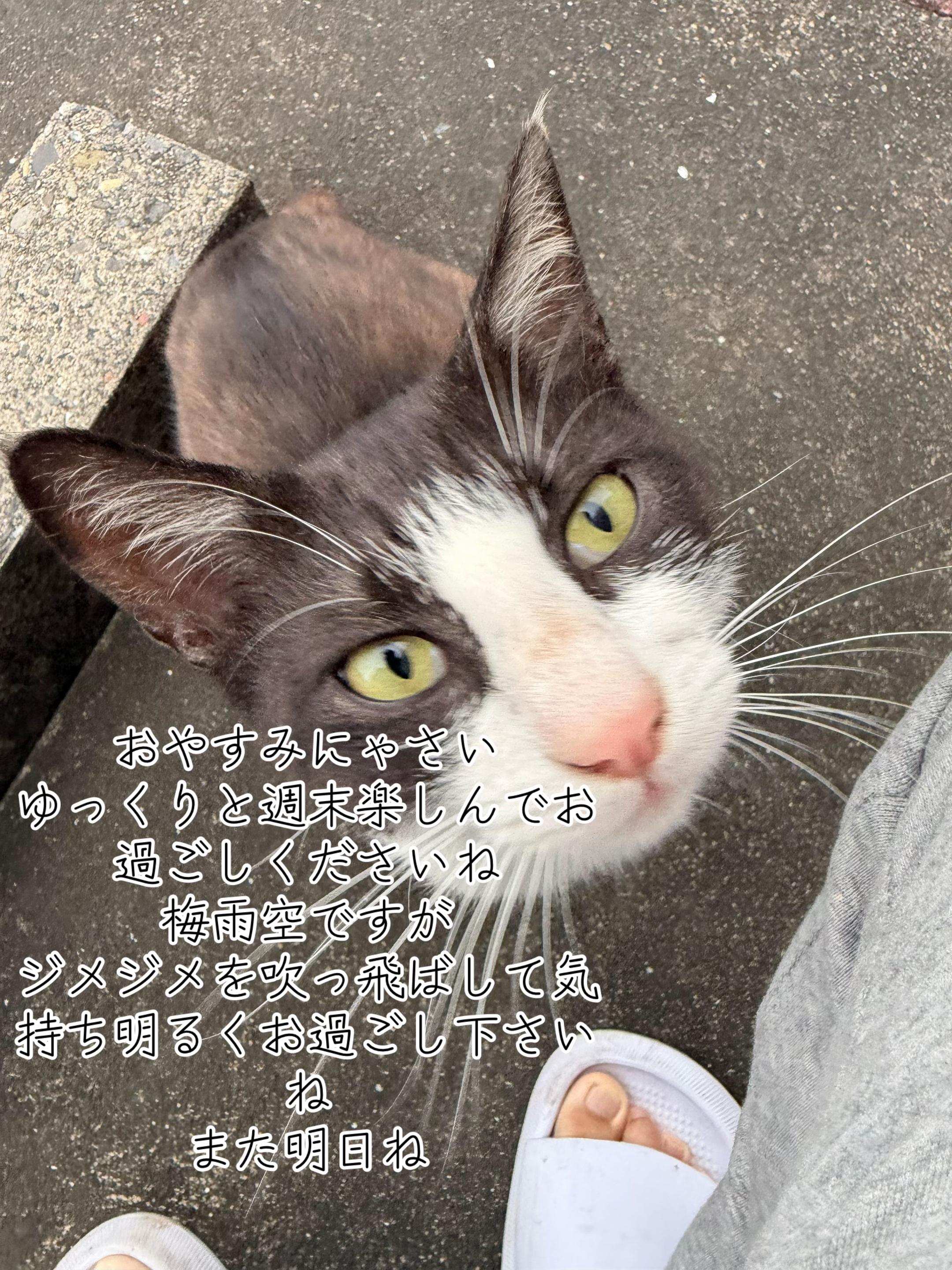 @ð¥é»æŸ€æ£å¿ð¥