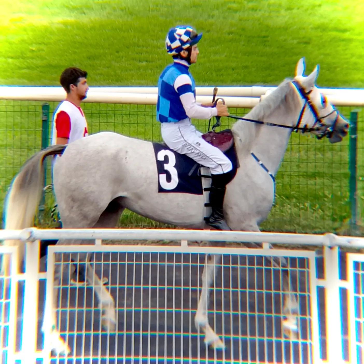 @brs horse racing