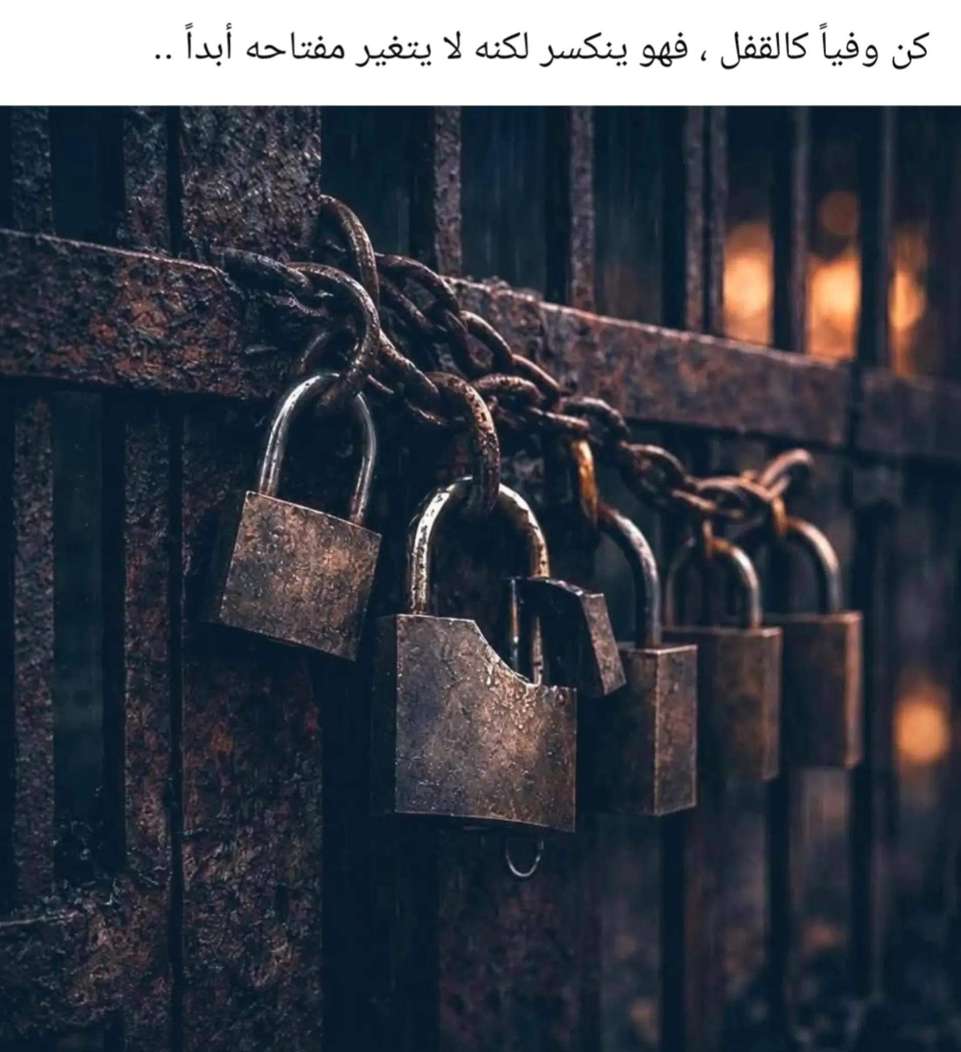 @Rana Hajjar