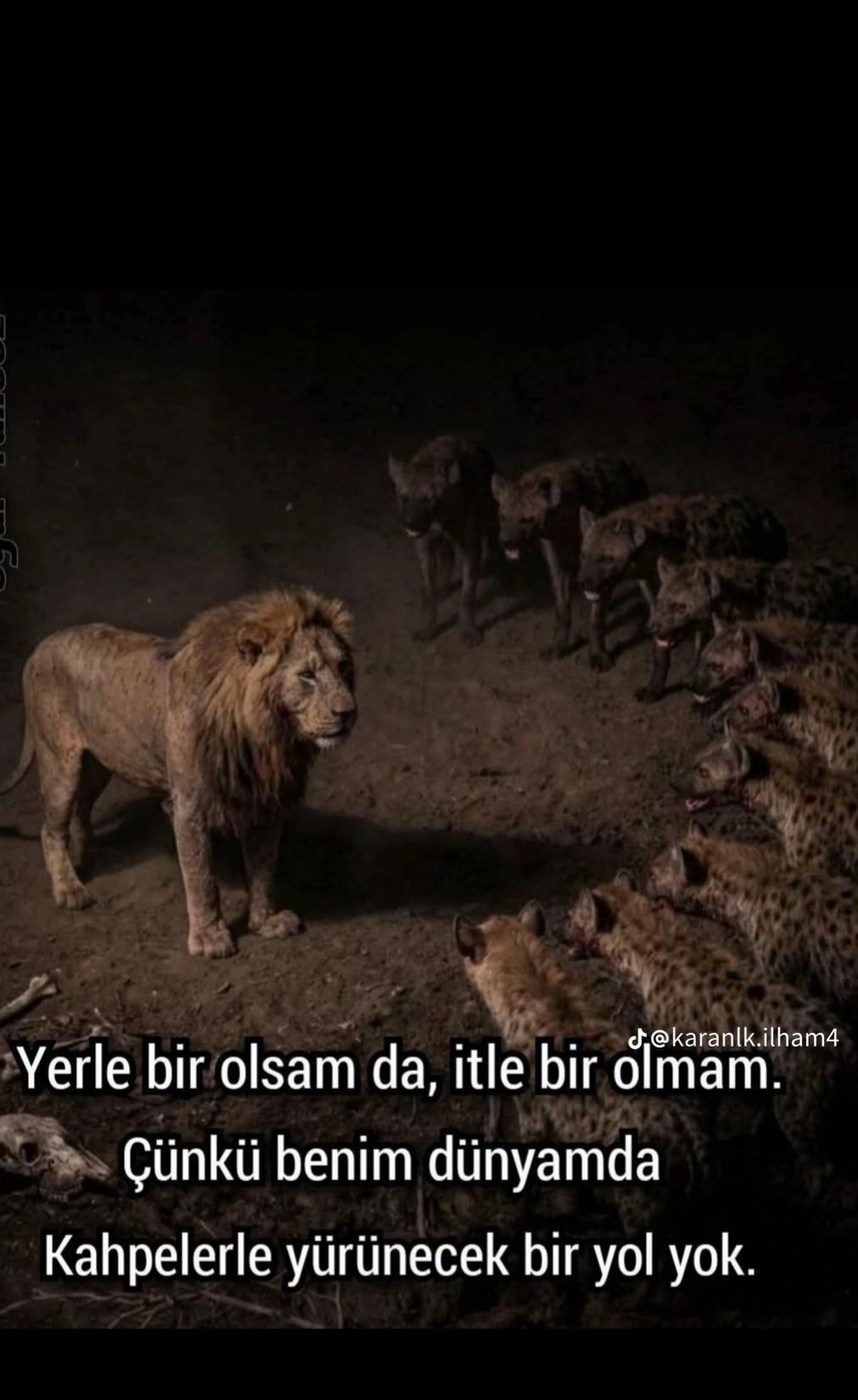 @Sitem