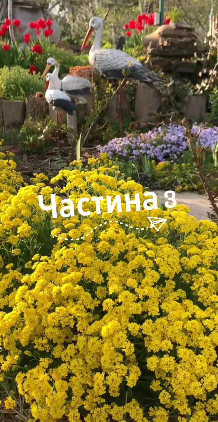 @Життєві історії