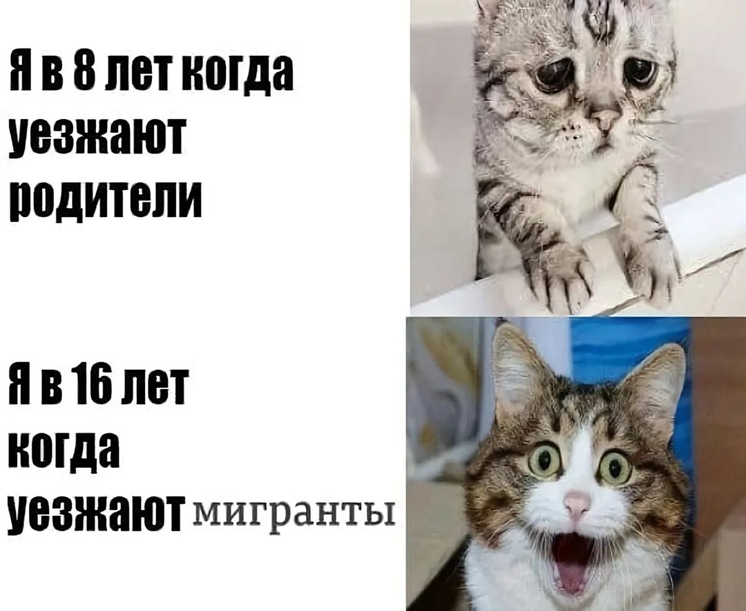 @вцетрил