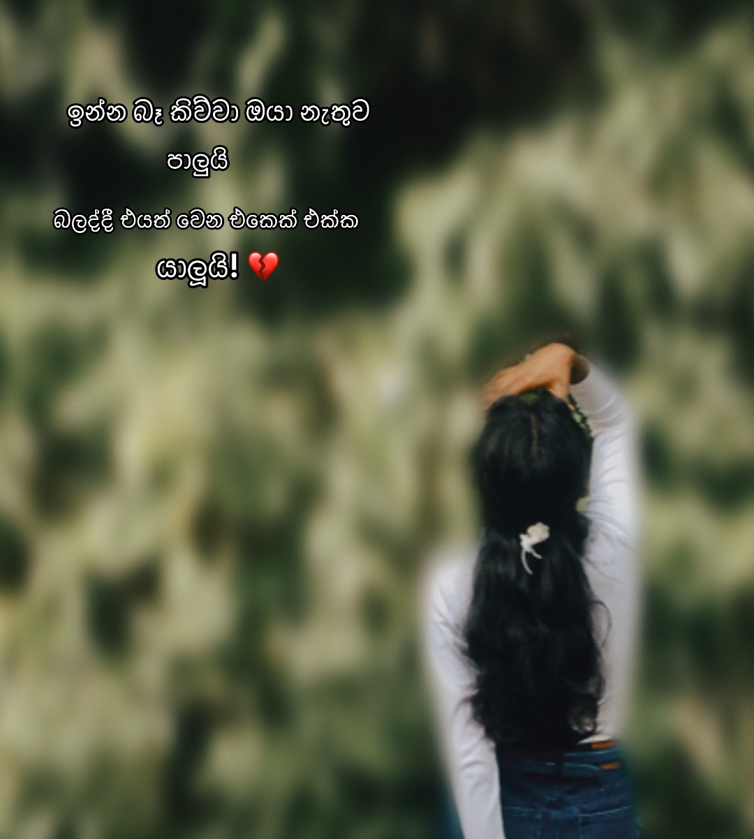 @Dinuki 📌🕊