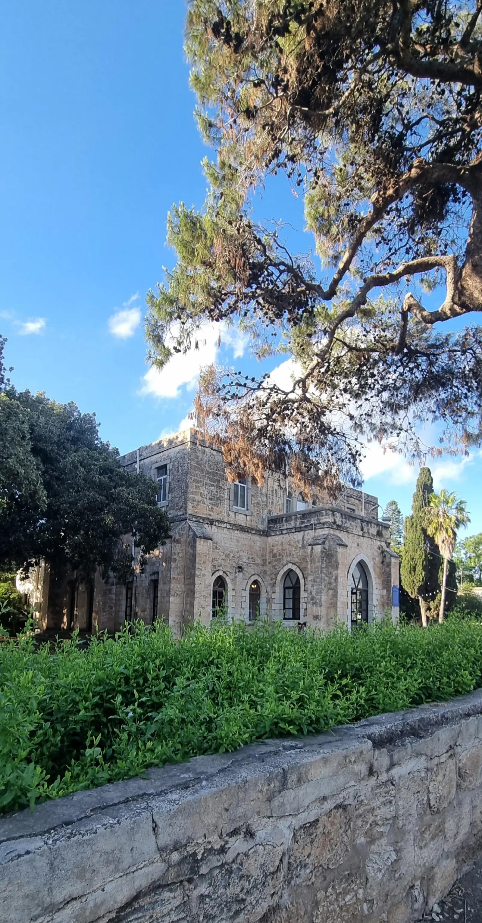 @פורטל הכרמל , emily halabi