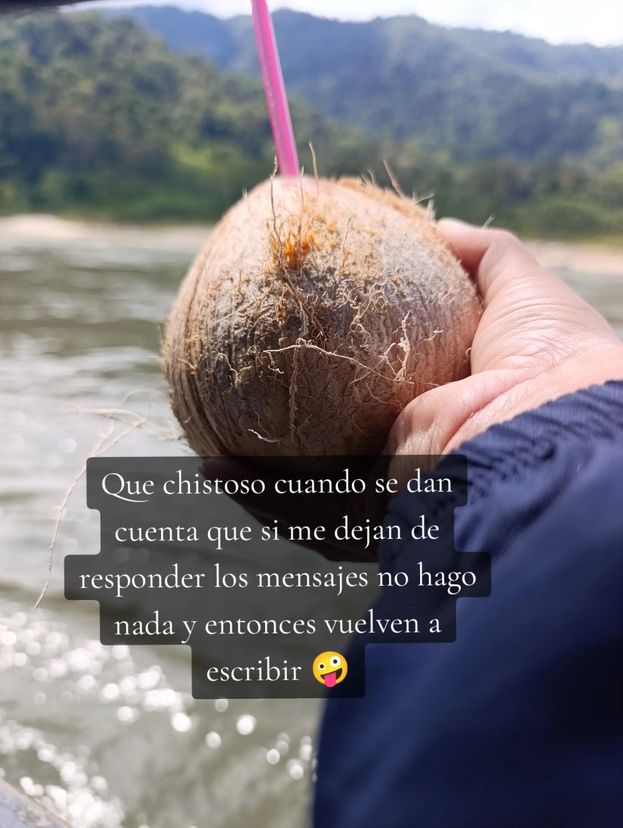 @Mayly Rojas