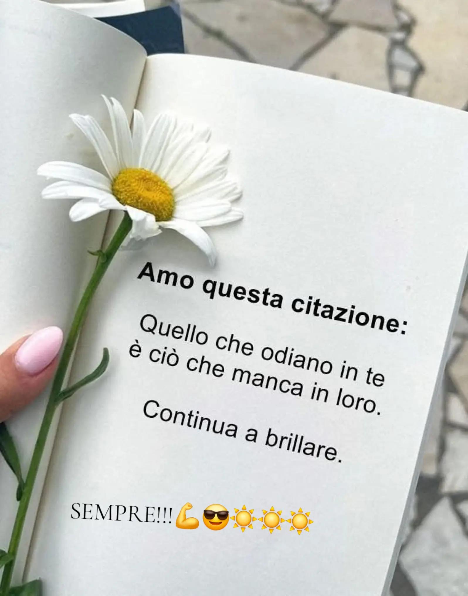 @Daniela Cocchia