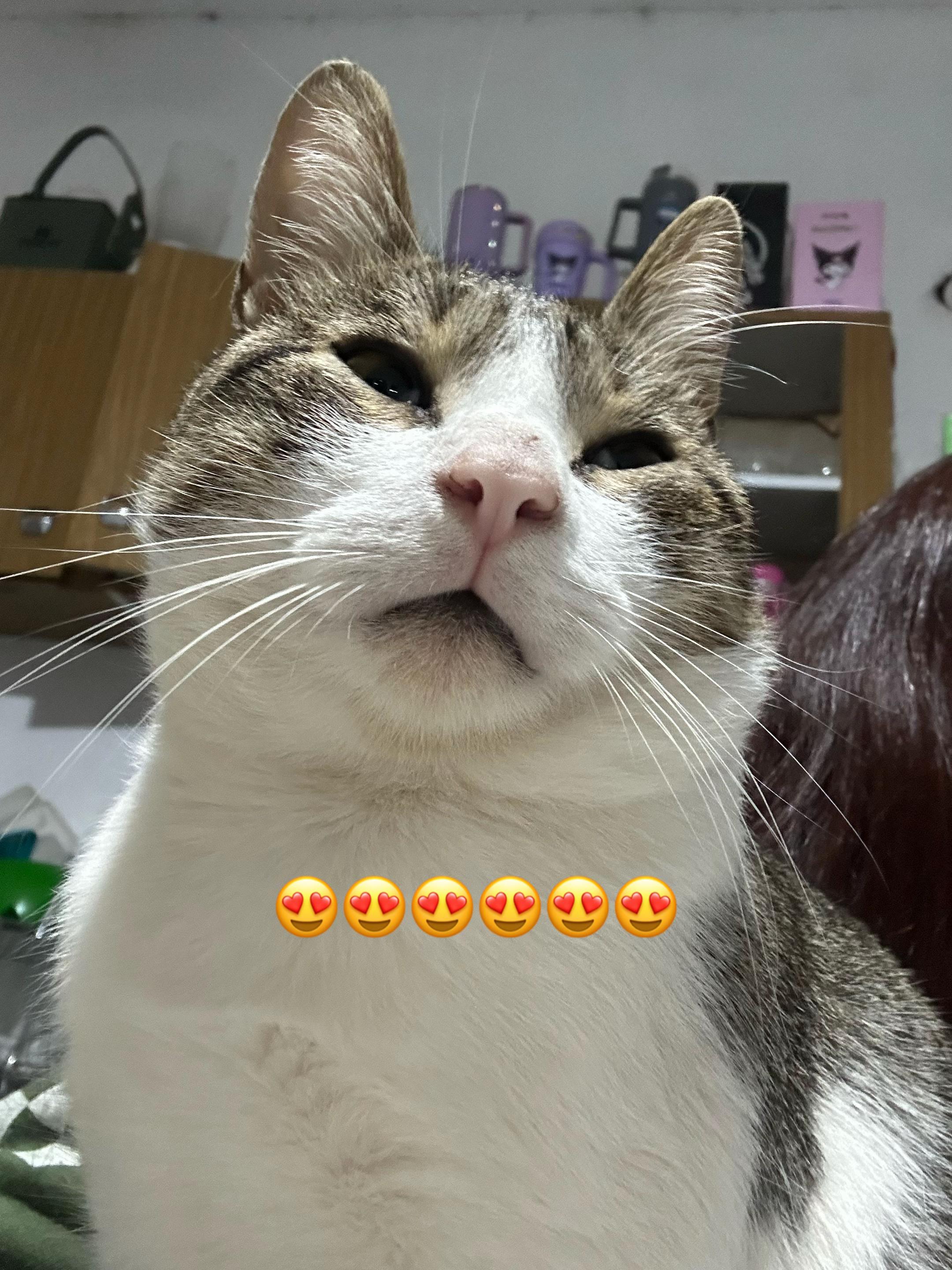 @Yakii