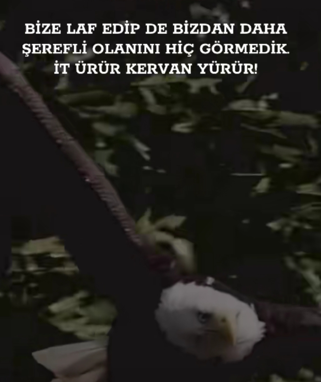 @horozcu_31
