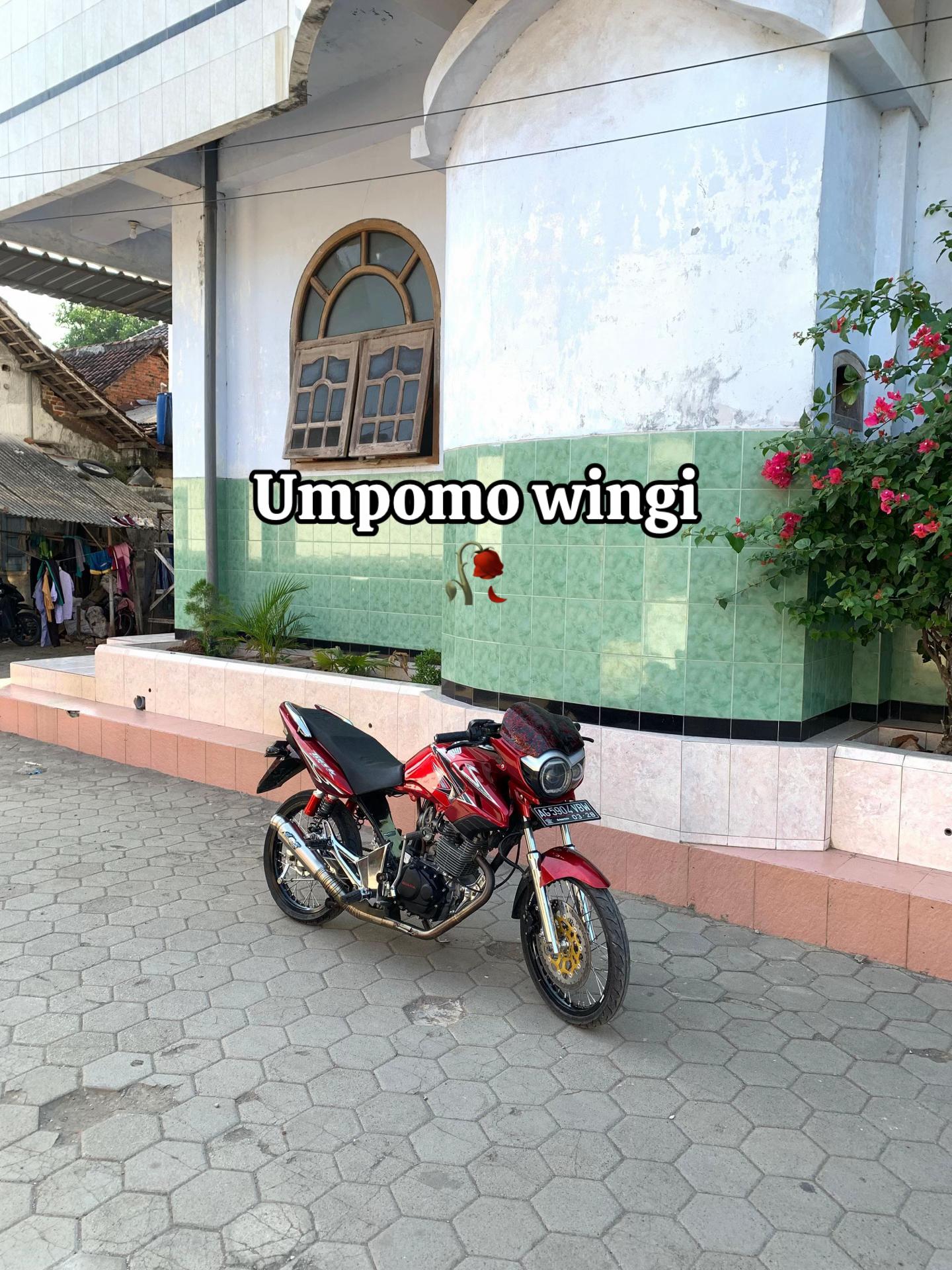 @Niobukansuneo