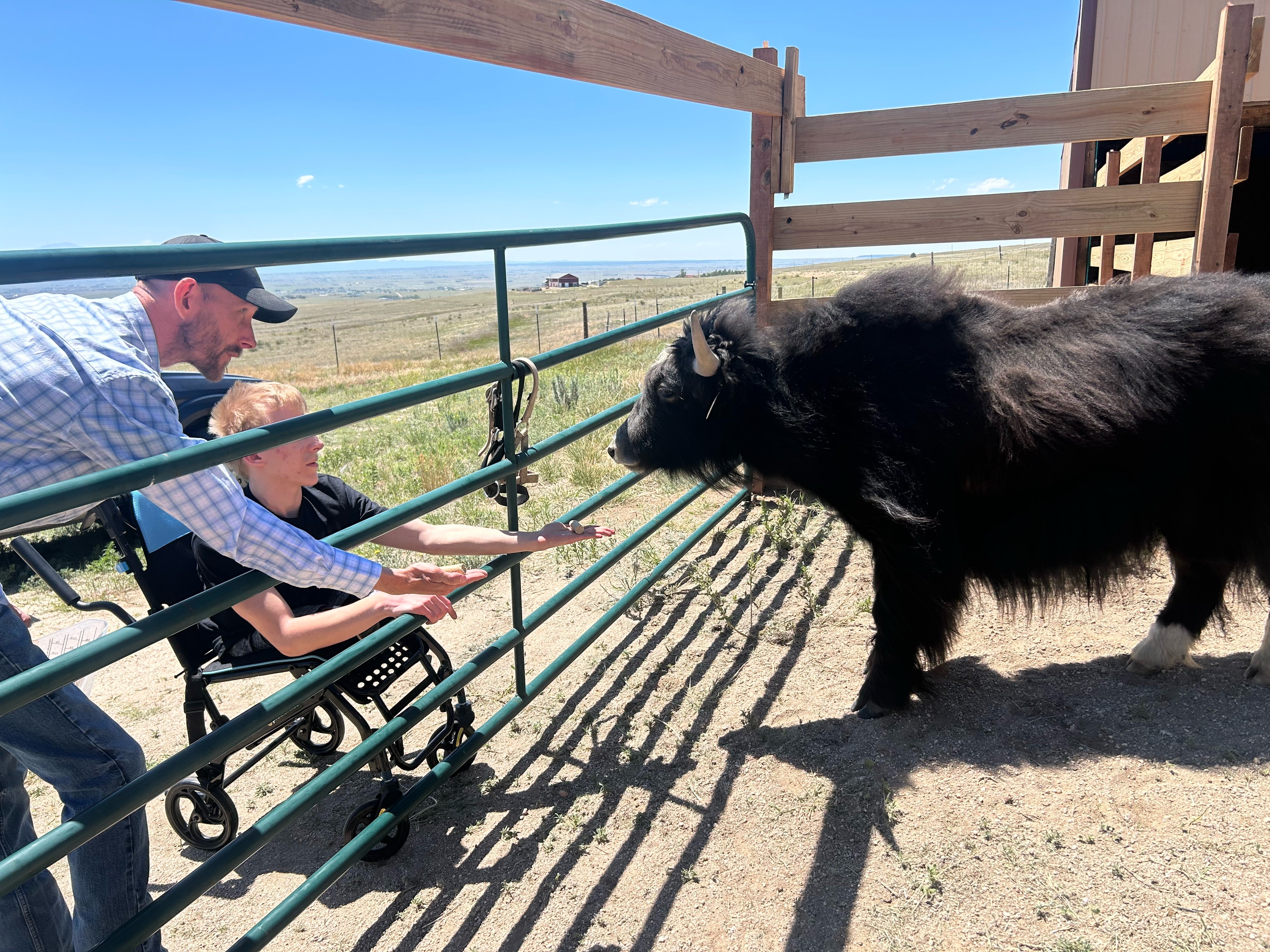 @Yakety Yak Ranch