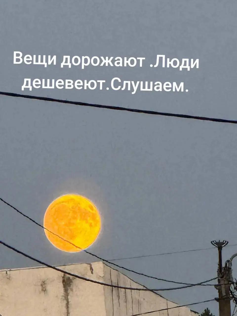 @NATUSIK