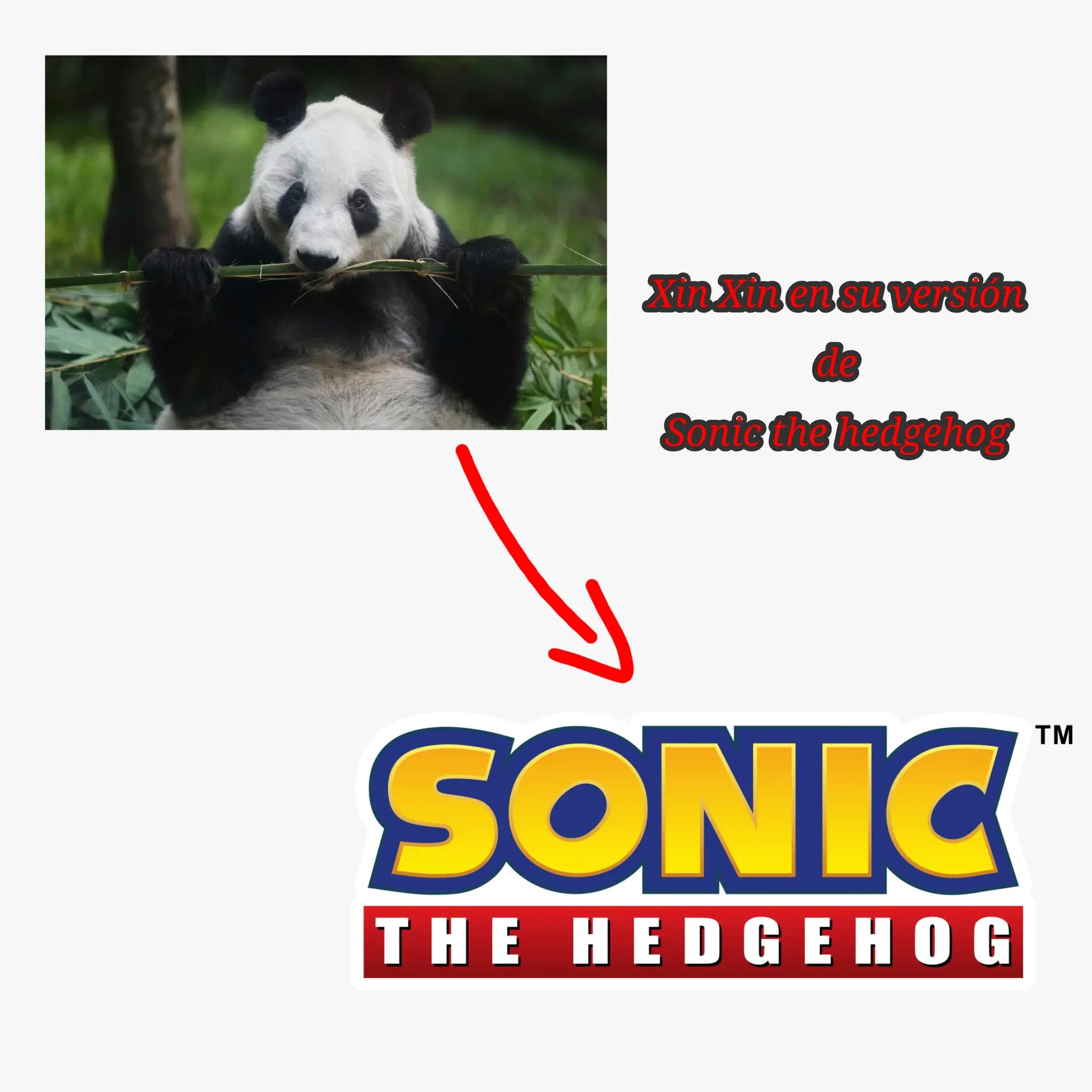 @Melany the panda