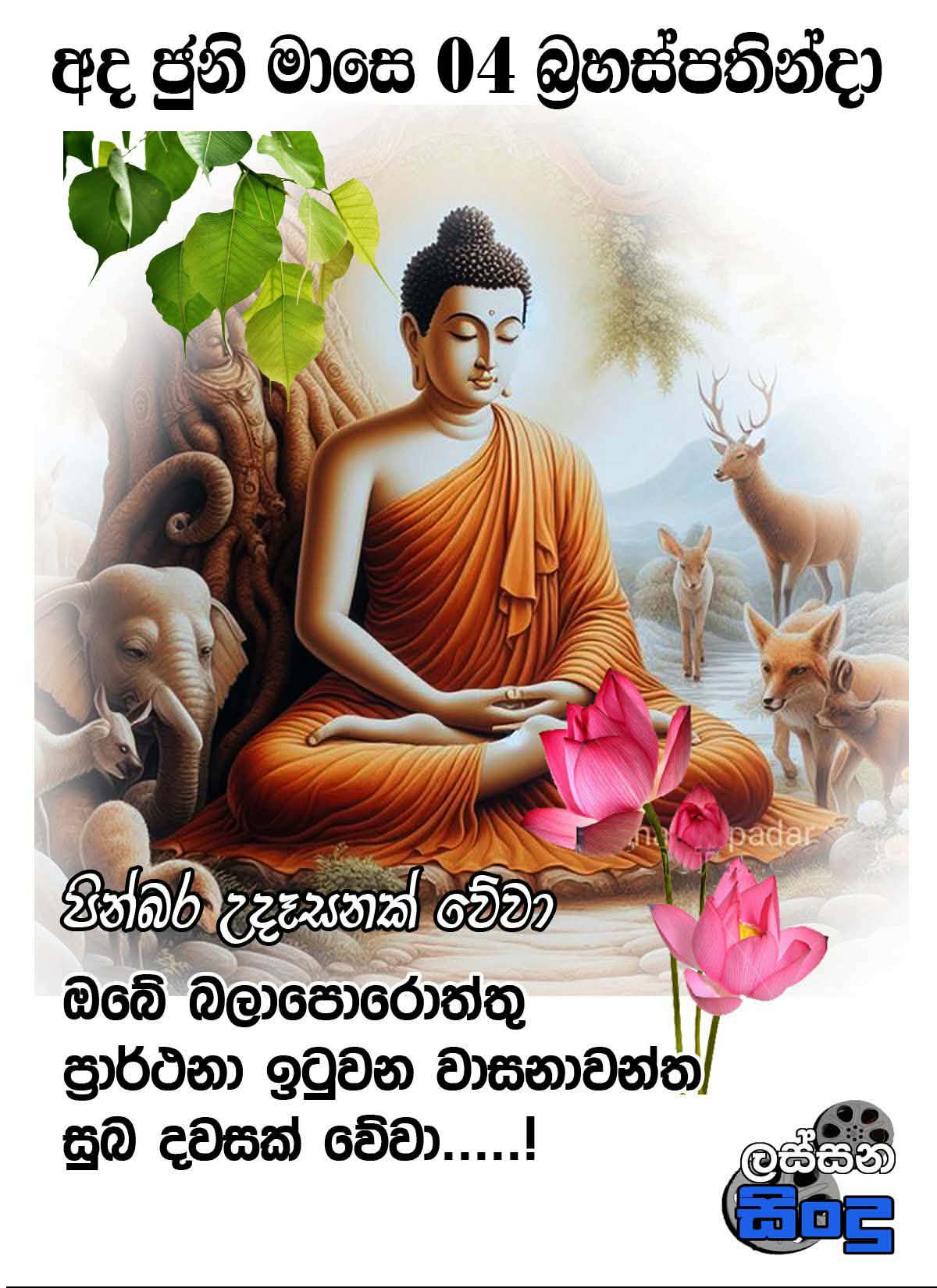 @prasanna