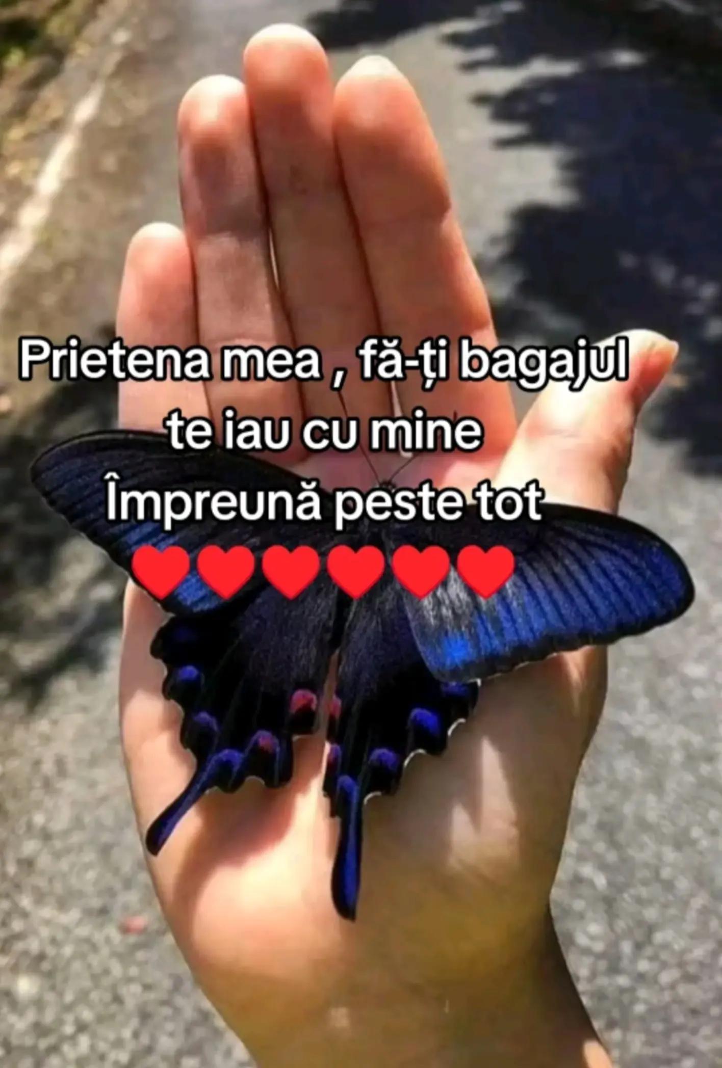 @Cristina