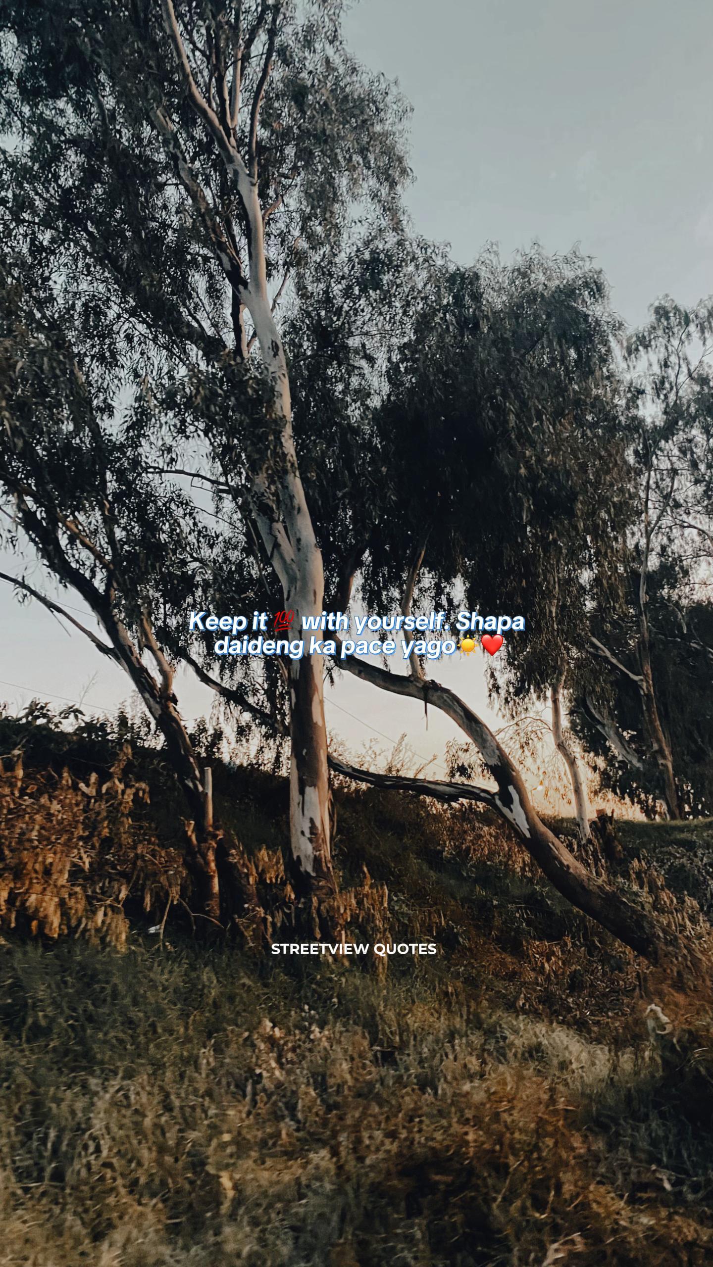 @Street View Quotes